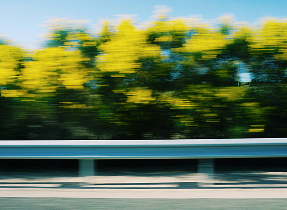 Trees blurred