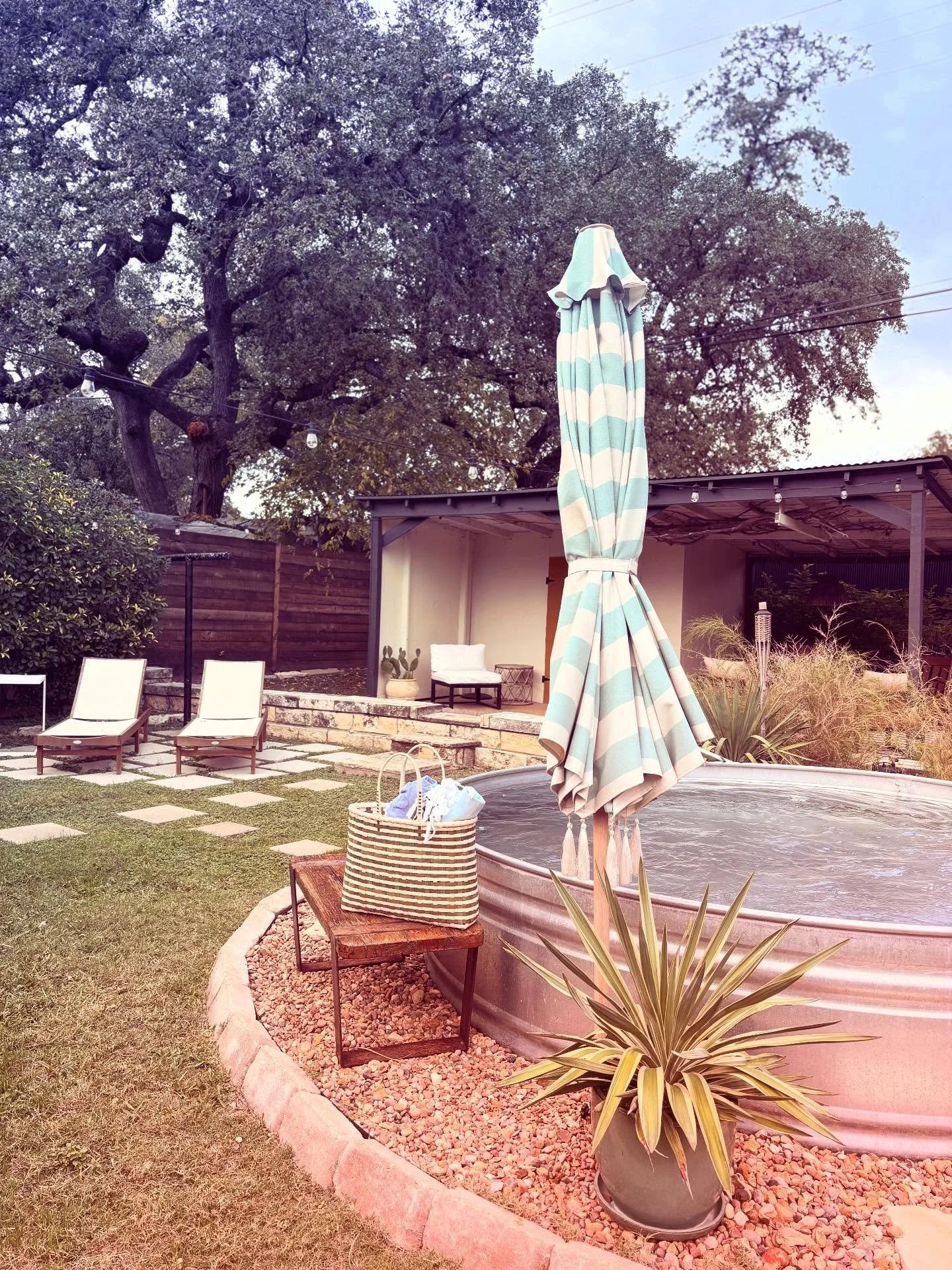 The Market, in the wild