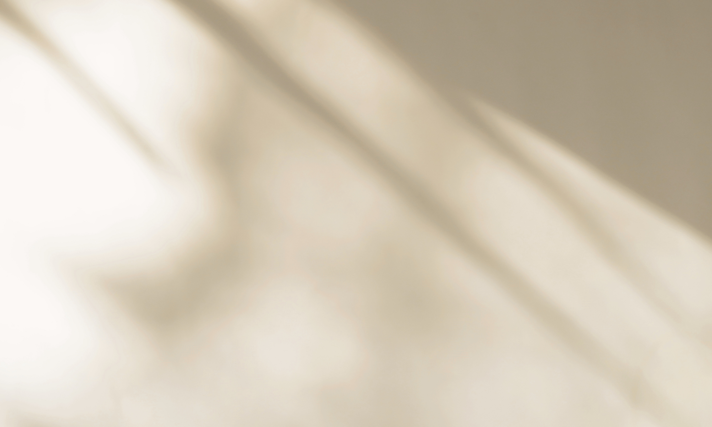 A blurred image of architectural or structural elements in a neutral color palette.