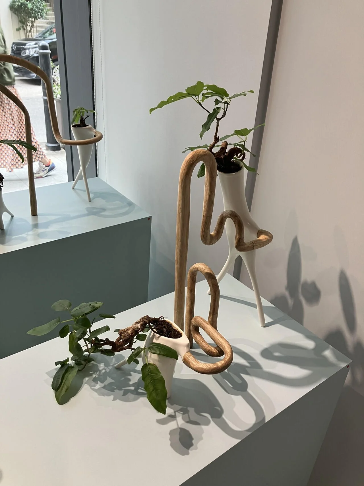 Are we in the right place and role to shine?