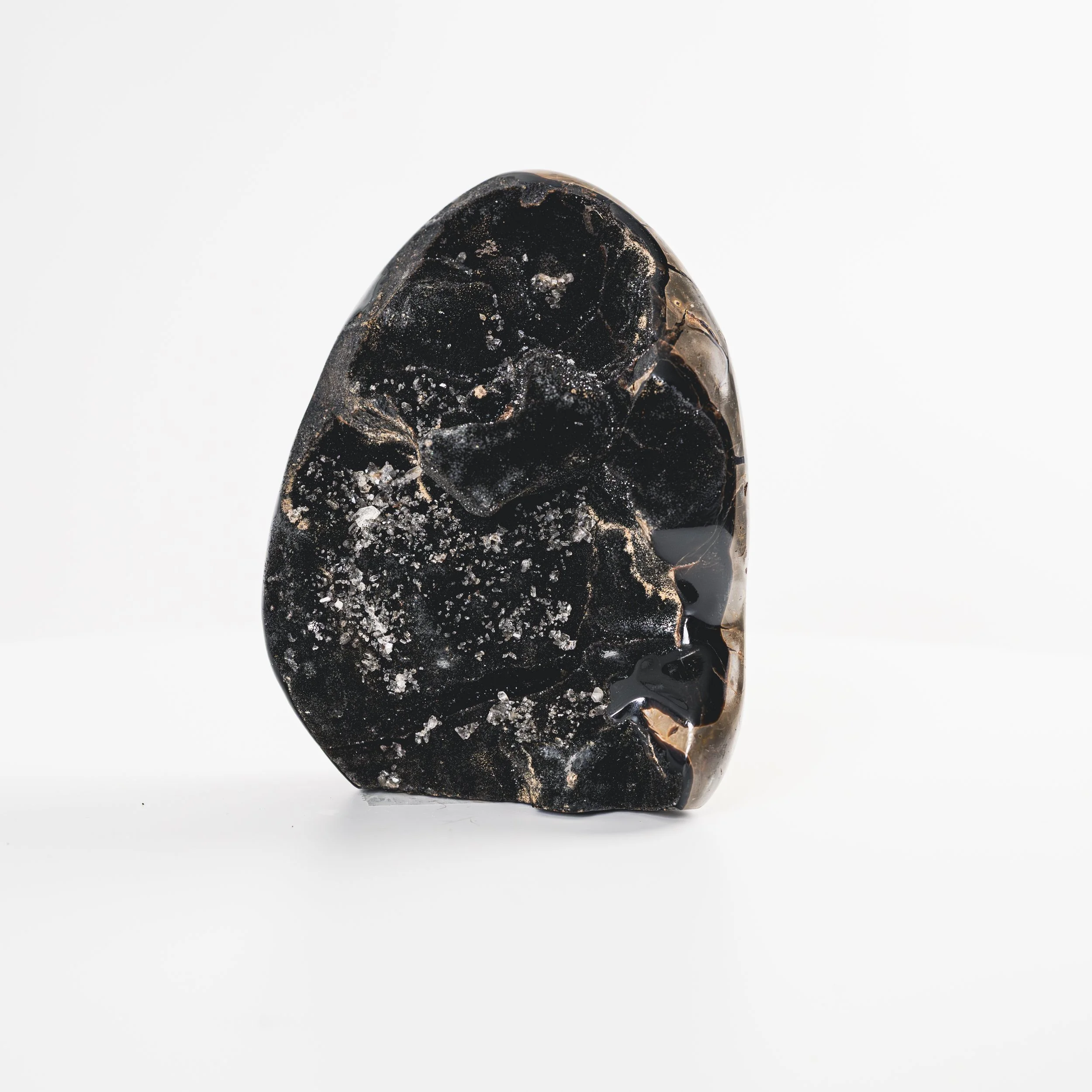 Polished Septerye Suavage Dragon Egg