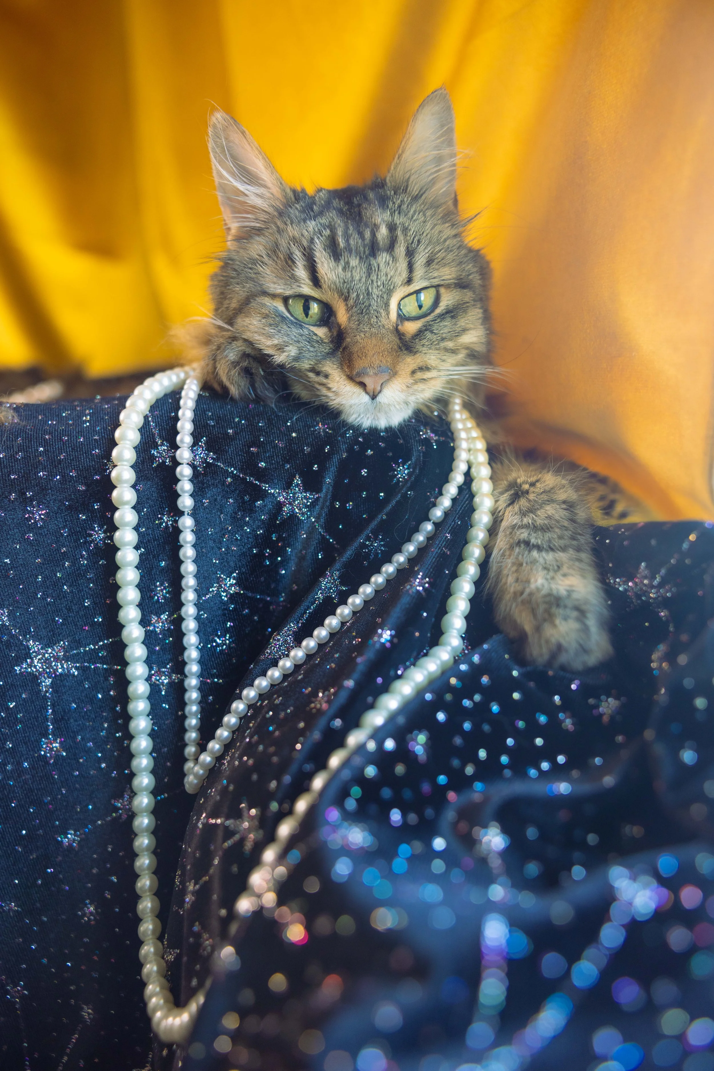 Website photos-34.jpg