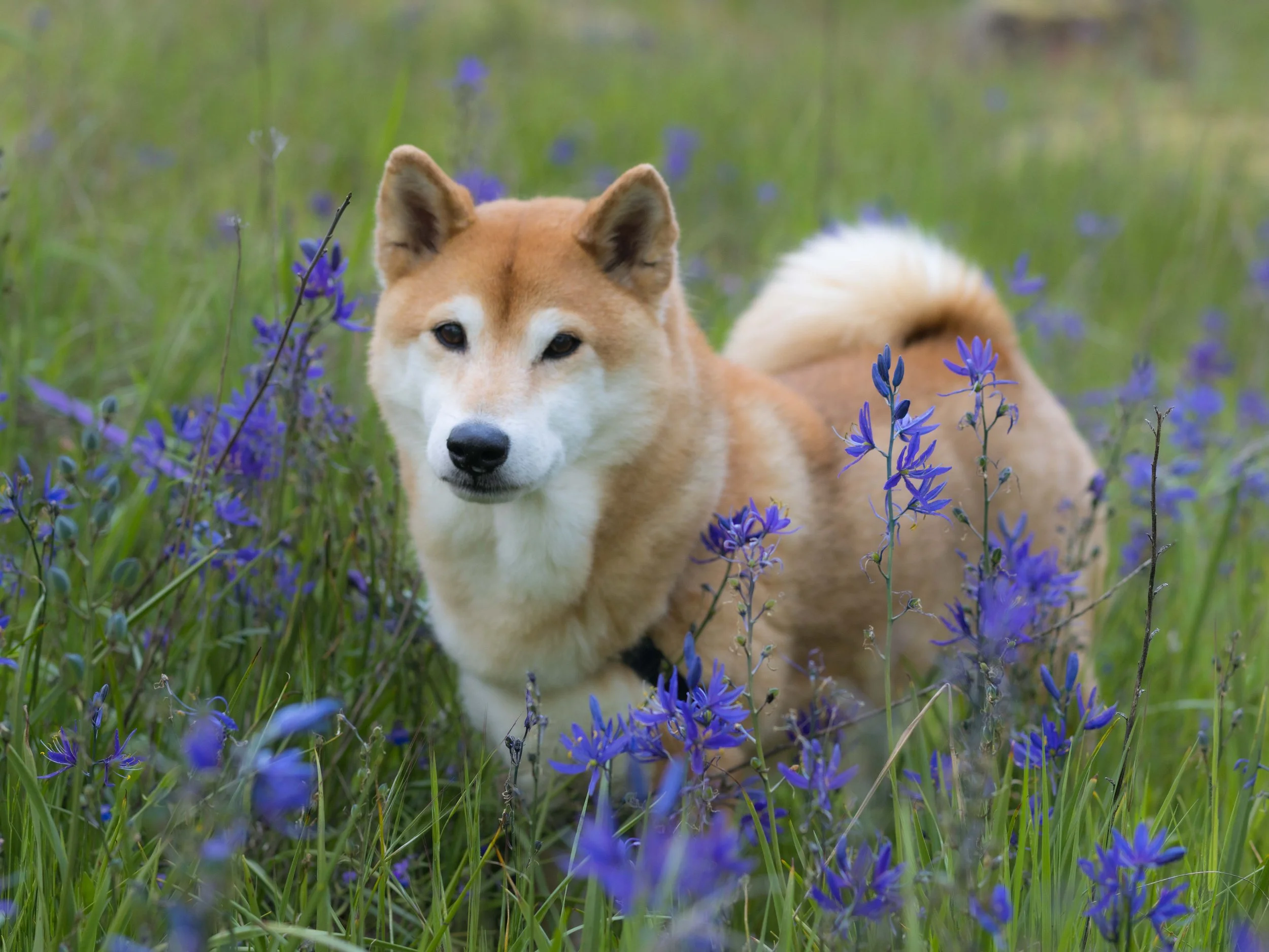 Website photos-13.jpg