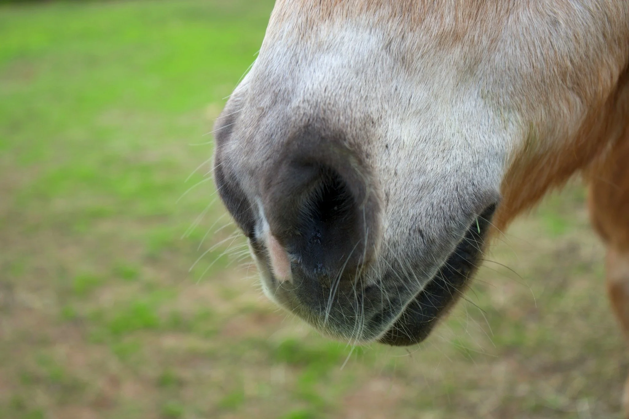 DSC02420_edited.jpg