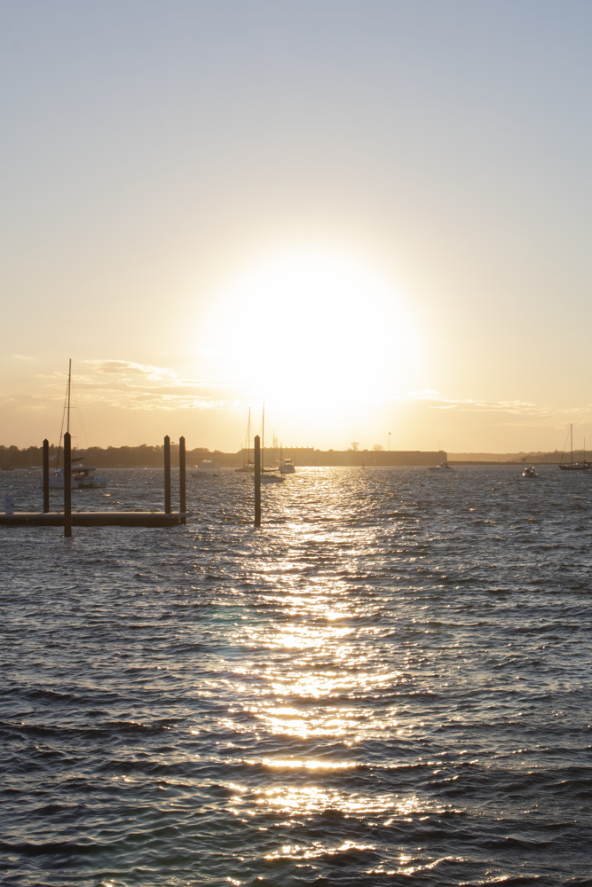 pellwebsite usage-16.png