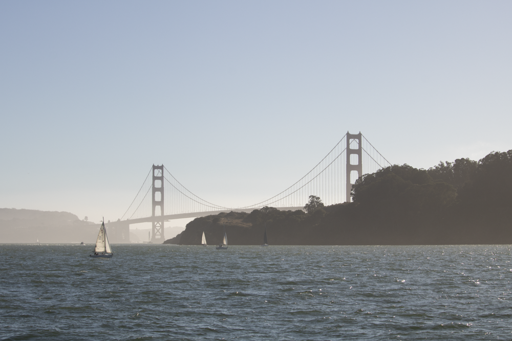 sanfranwebsite usage-62.png