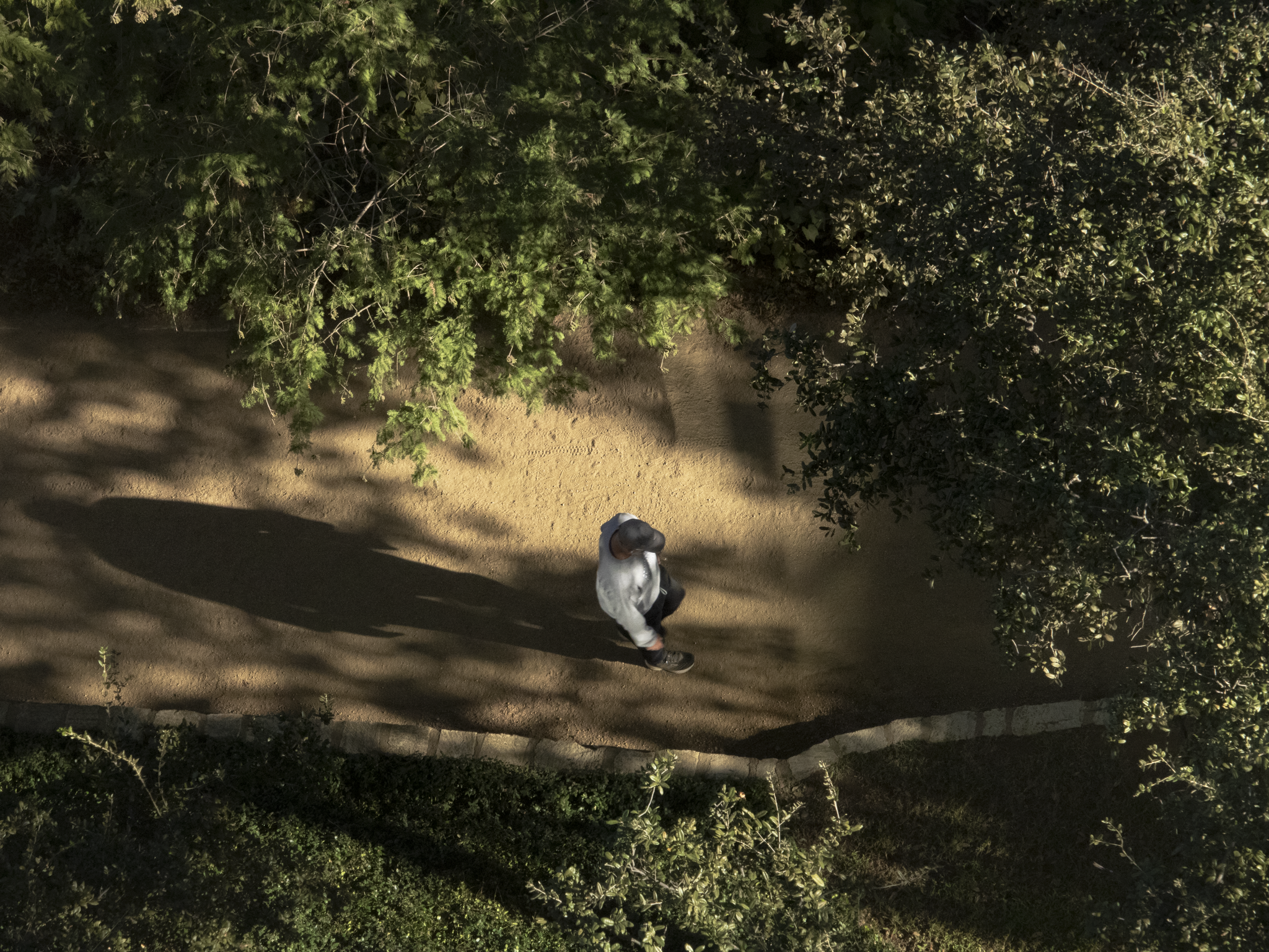 austinwebsite usage-16.png