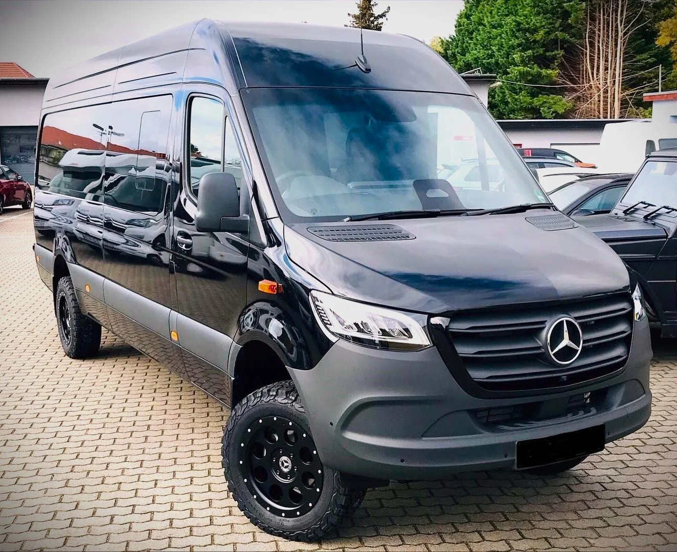 A black Mercedes-Benz van parked on a paved lot, with other vehicles and trees in the background.
