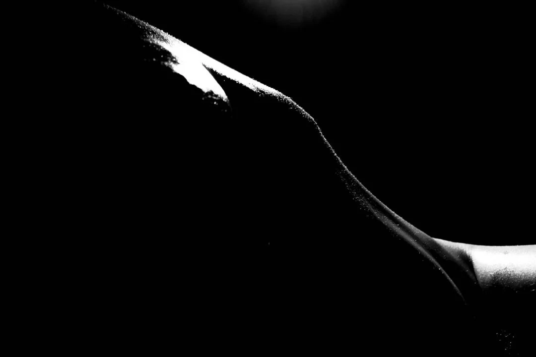 Photo Credits: Mike Knuist, April 2023
https://www.instagram.com/art_via_chainsaw/