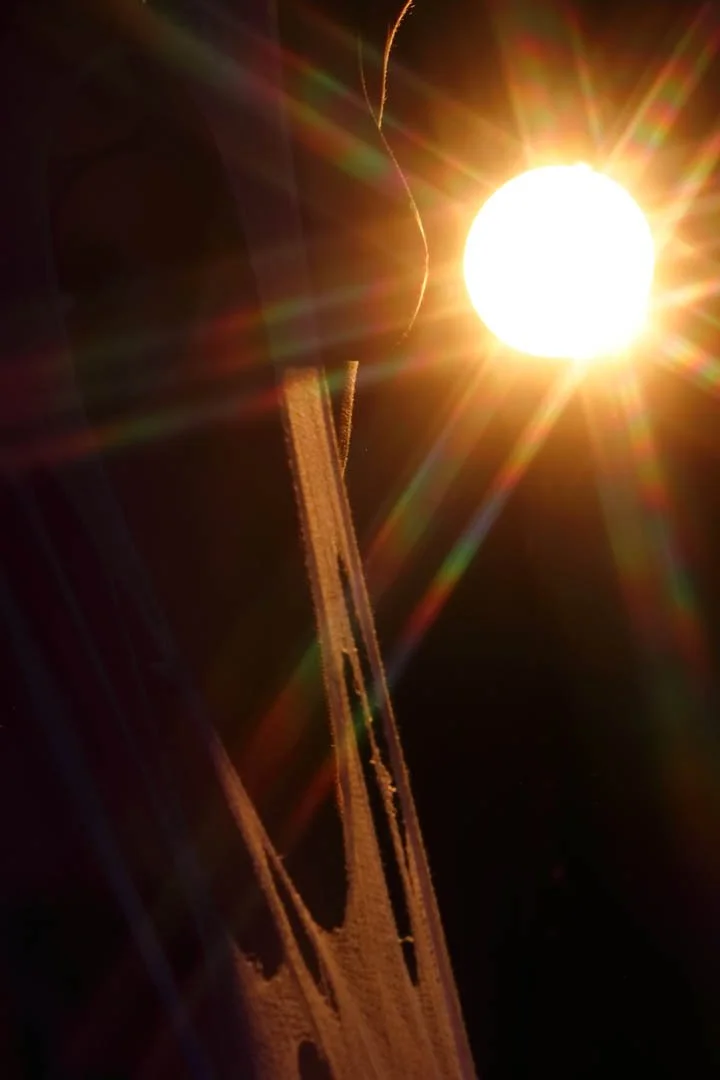 Photo Credits: Mike Knuist, March 2024
https://www.instagram.com/art_via_chainsaw/