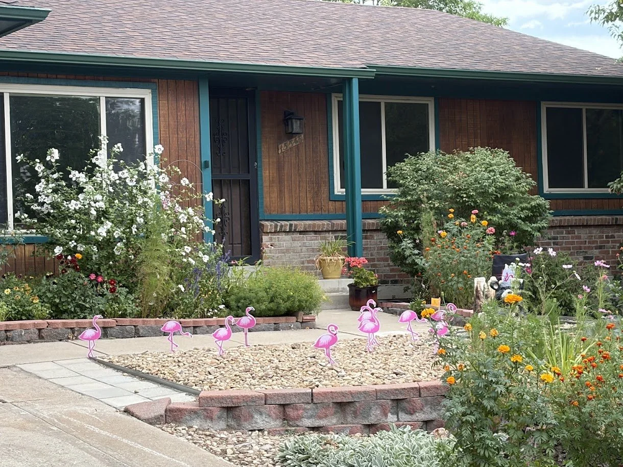 Longtime family home with established landscaping in Lakewood, Colorado.