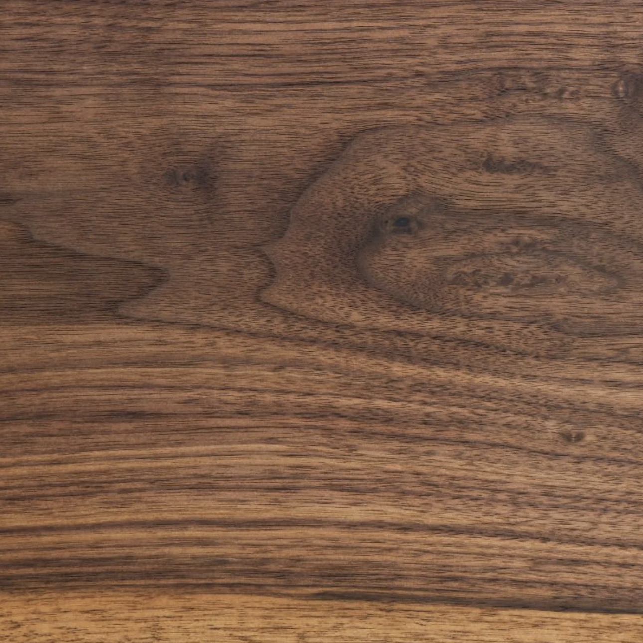 American Black Walnut