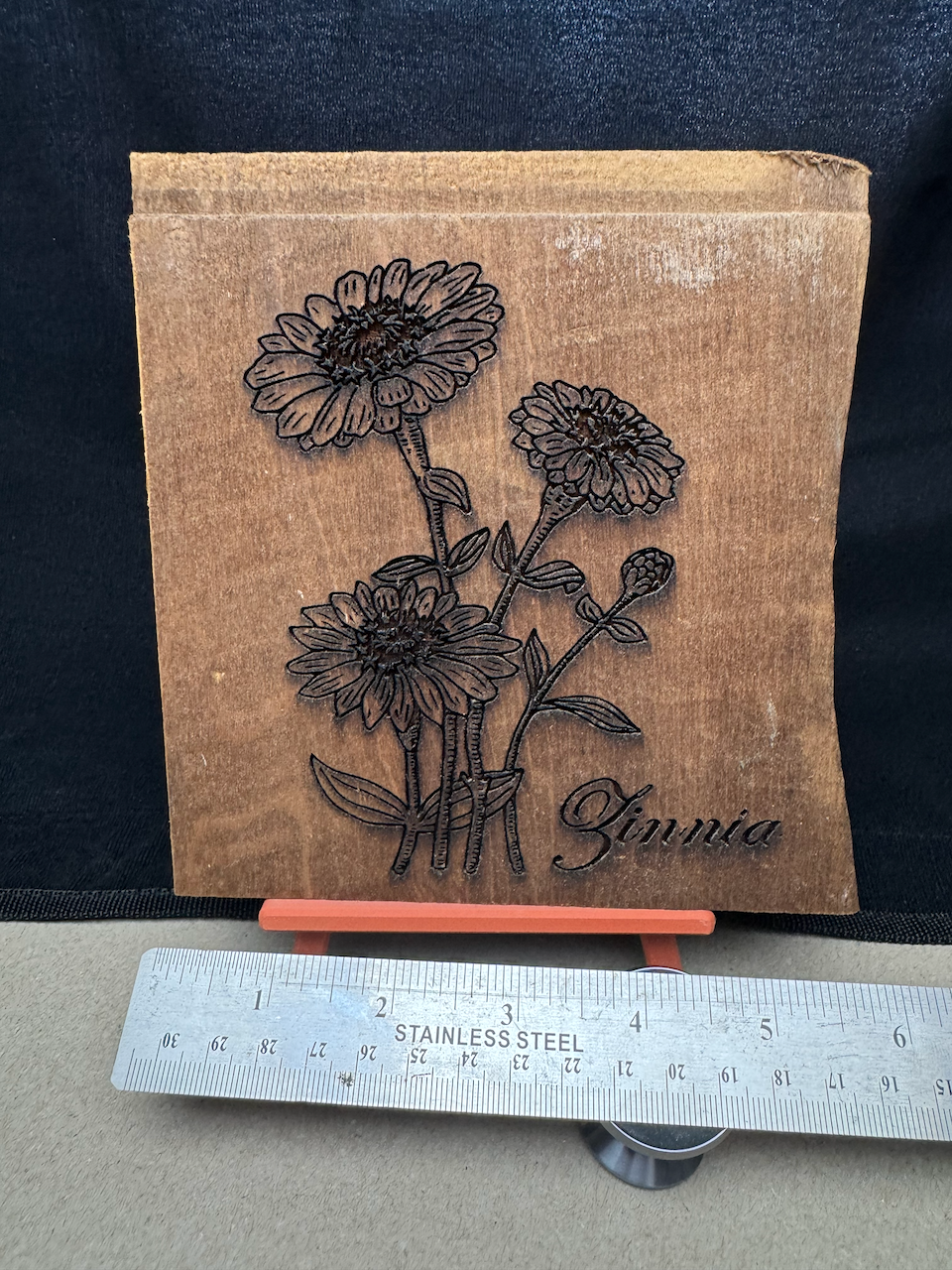 Zinnias