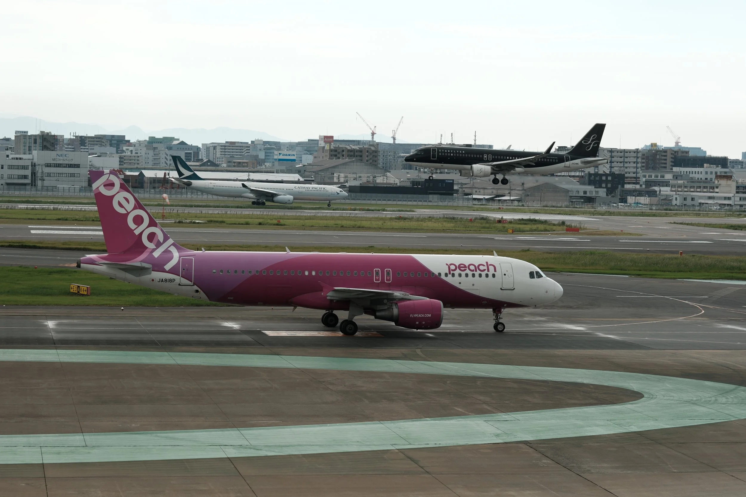 DSCF3531.JPG