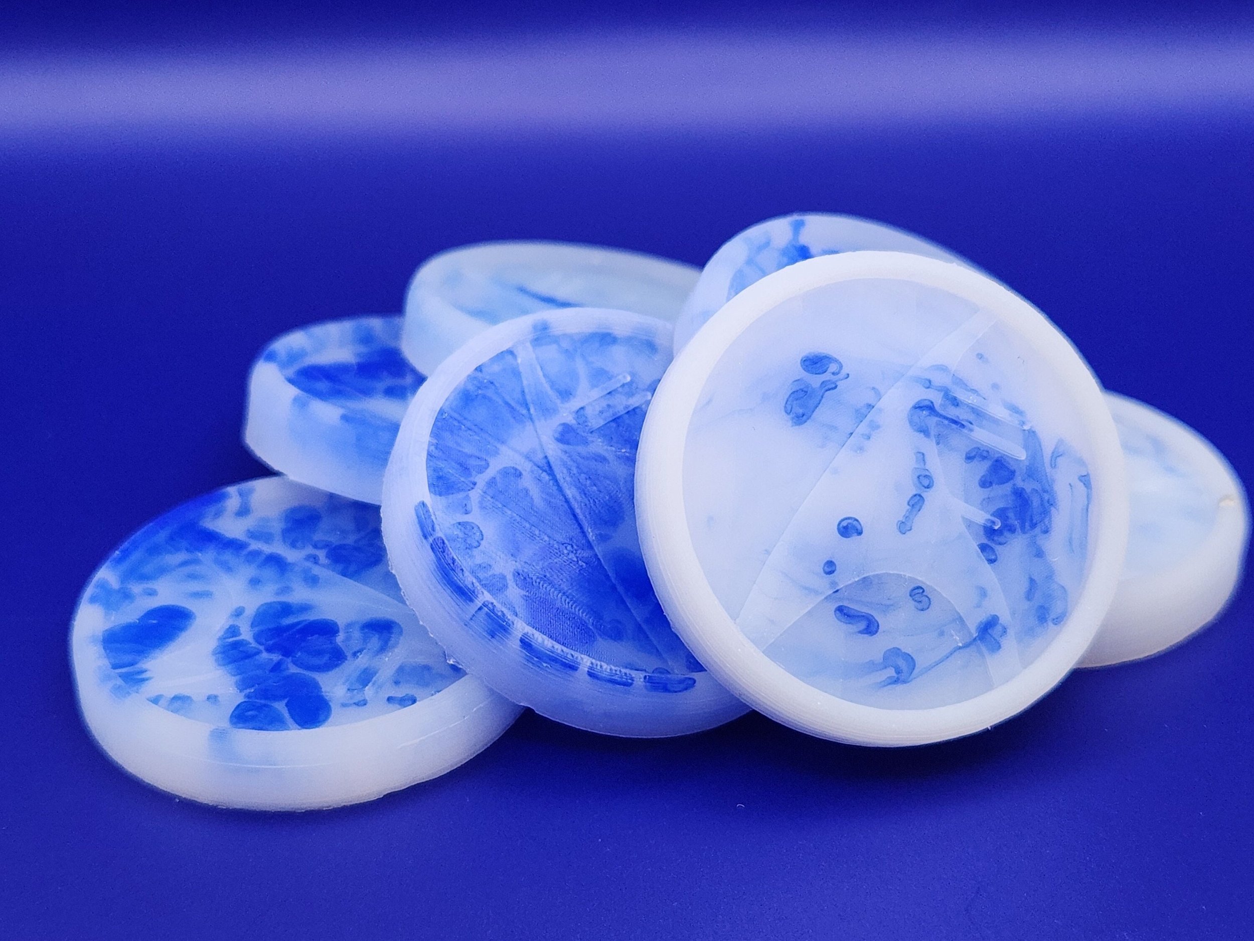 Classic Squishy Calamari Flan