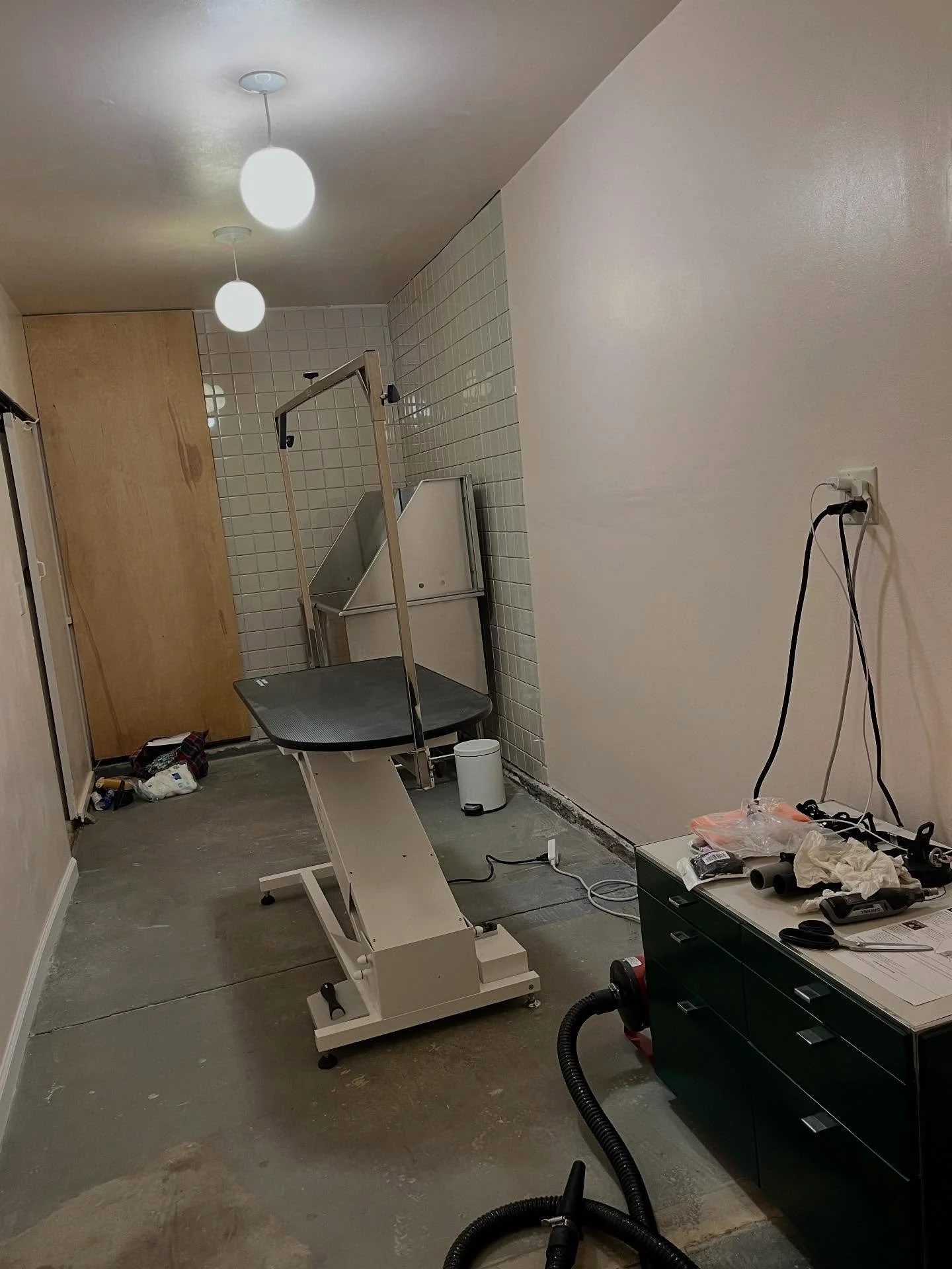 It&rsquo;s coming along 🥹❤️ #doggroomer #doggroomersofinstagram #doggroomerofwichita #dogsofwichita #dogsofkansas #ict #ictwichita #ictdogs