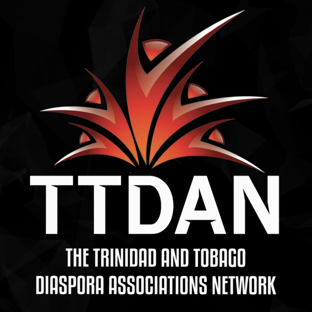 Logo of TT DAN, The Trinidad and Tobago Diaspora Associations Network, featuring a red and orange stylized flame on a black background with white text.