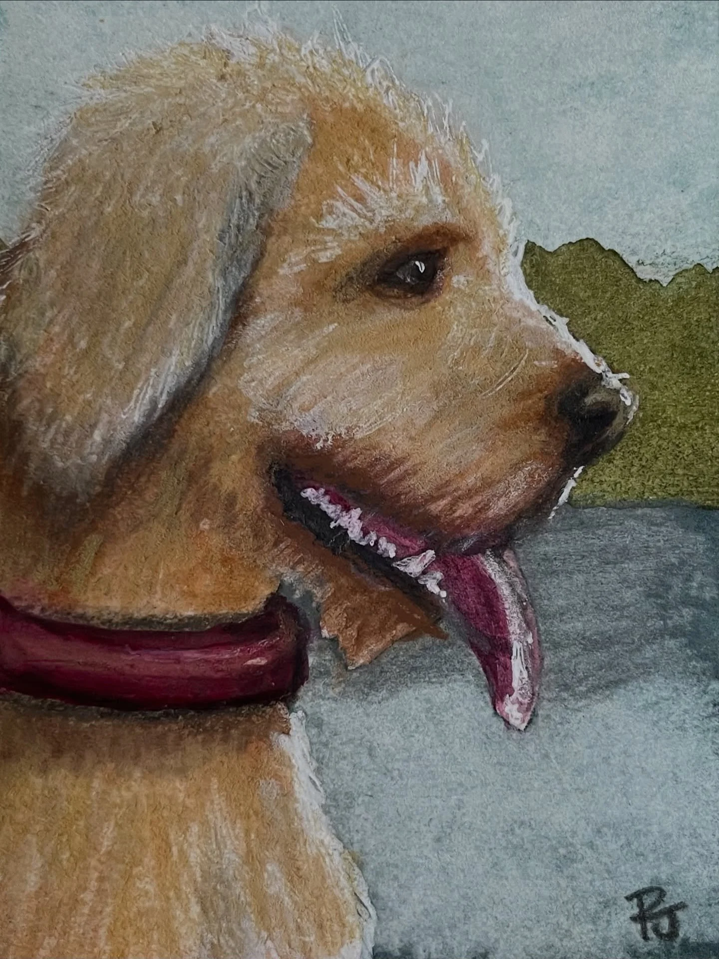 Water Dog at the Lake 🦮 
In search of the perfect stick. 
Curly hair dries faster, 
and smells like less ick. 😏

2.5&rdquo;x4&rdquo; watercolor, pencil, pen portrait ❤️ 

For sale - DM for deets