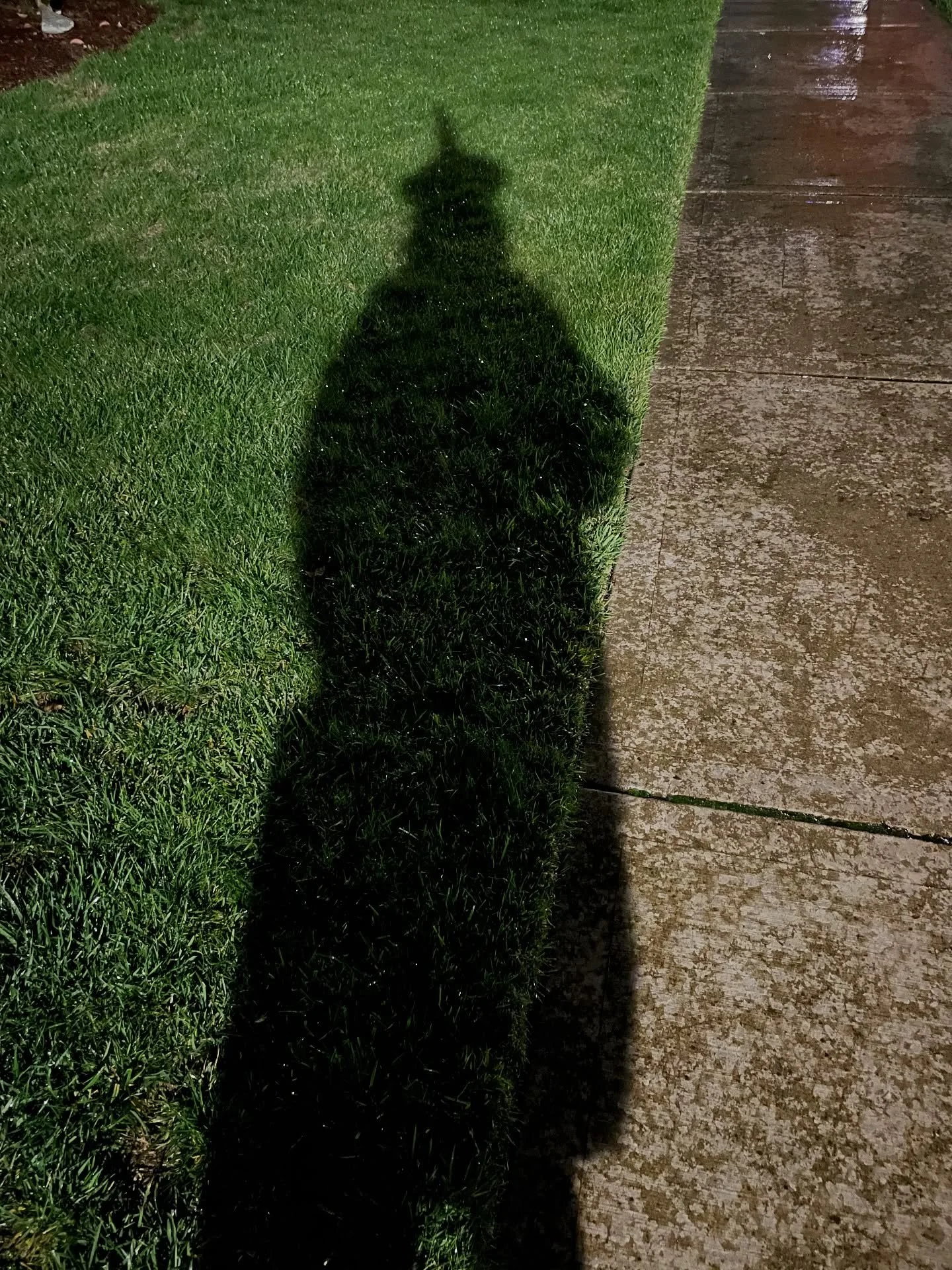 Dressed as cotton candy, but really a witch.