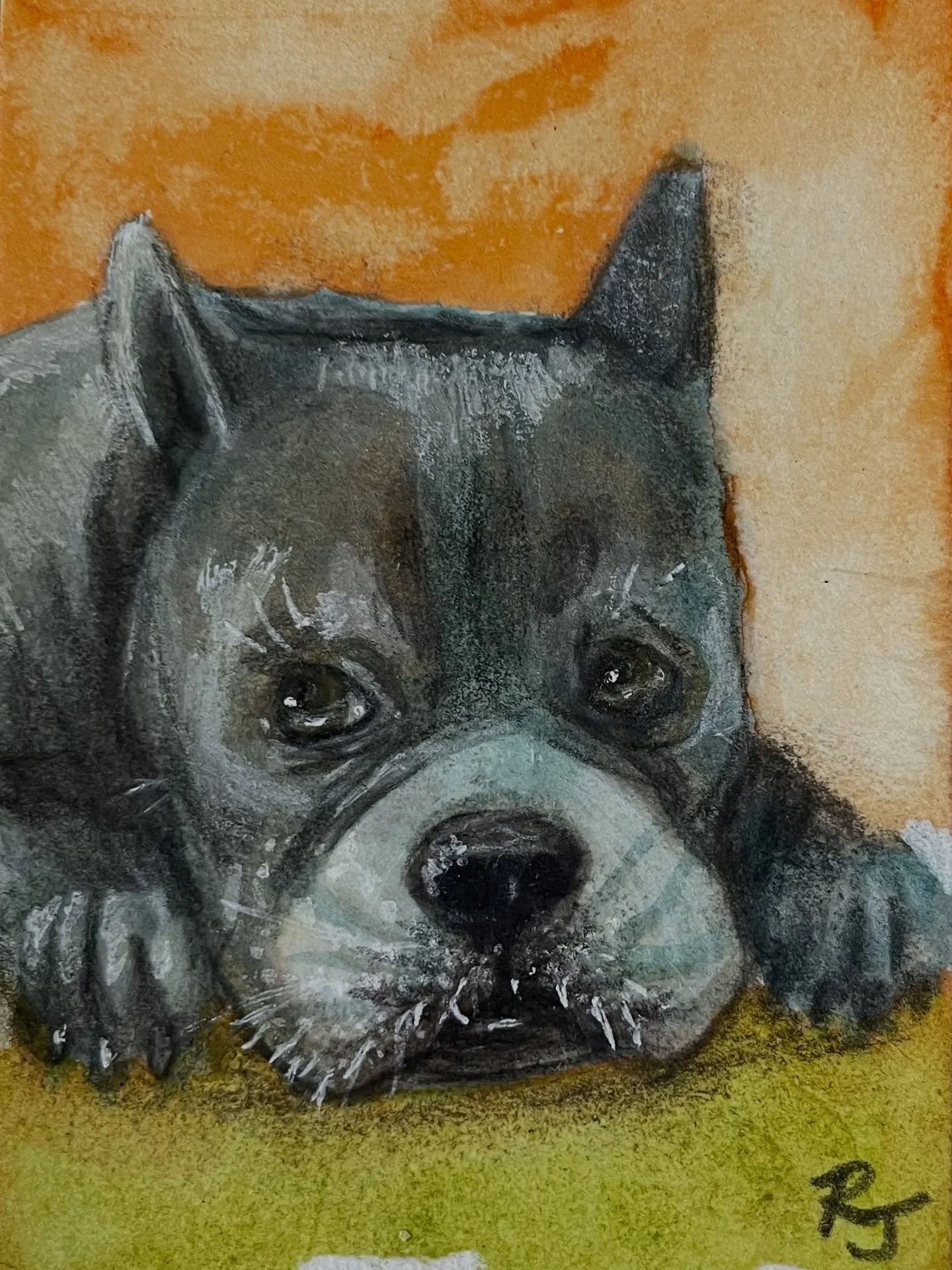 The cuteness is too much. If I met this dog in person I&rsquo;d never recover. More tiny 2&rdquo;x3&rdquo; watercolor portraits to come!