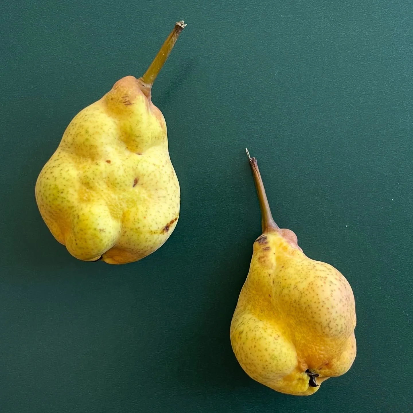 Quite the pair. 😅