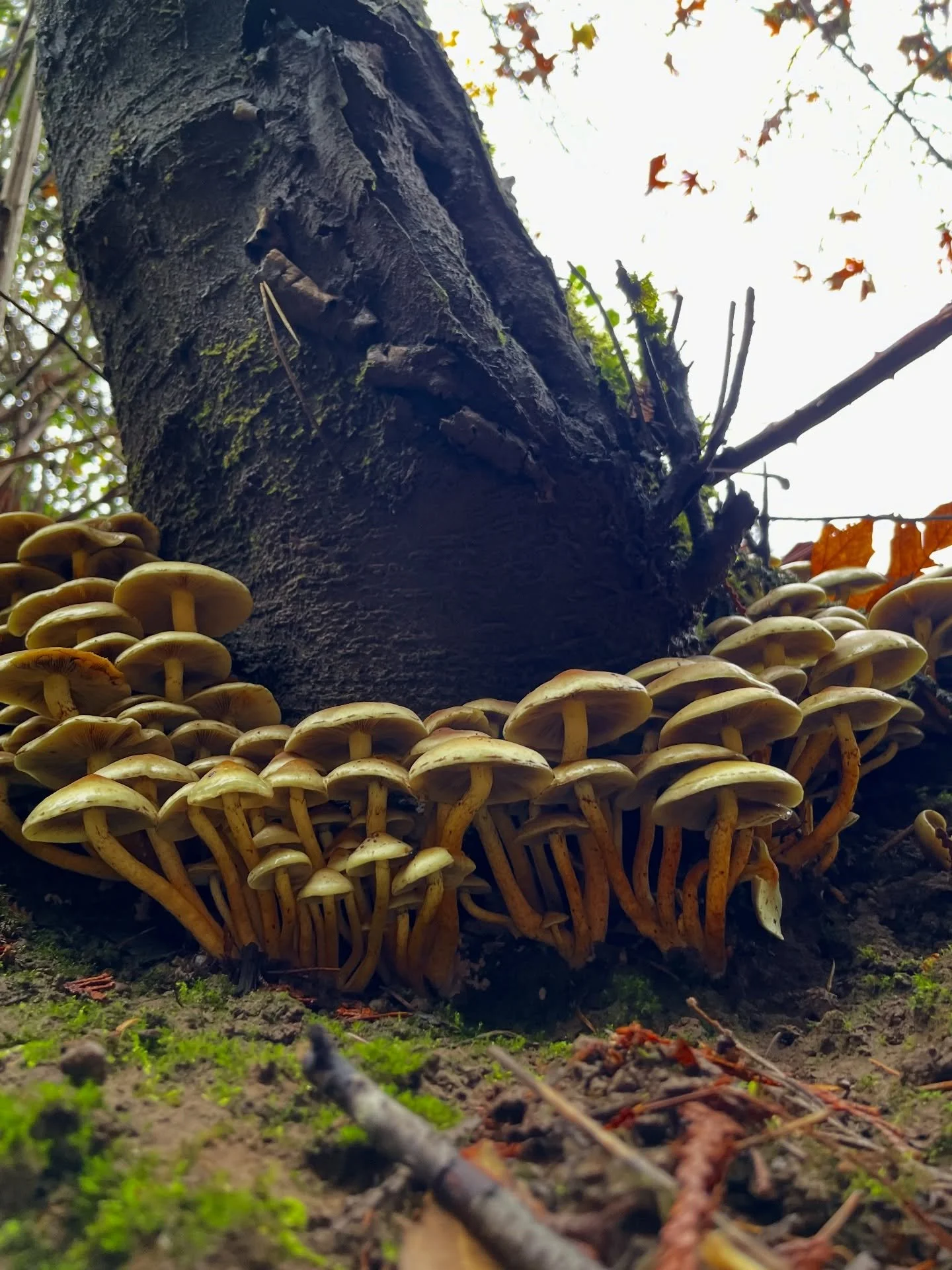 Trailside fun guys. 🚶&zwj;♀️🦮🐕&zwj;🦺