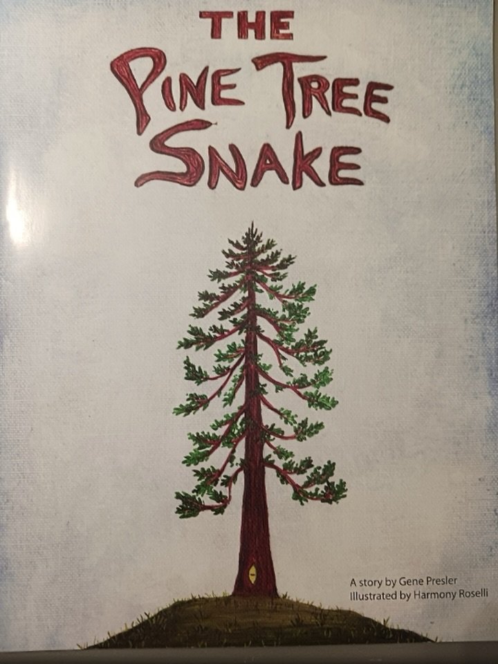 In honor of RYAM ( Ridgefield Youth Arts Month) we would like to invite you to a free performance of the Pine Tree Snake on Tuesday, March 17, at 7:00pm in the Union Ridge Commons. The students use a combination of visual, musical and performance art