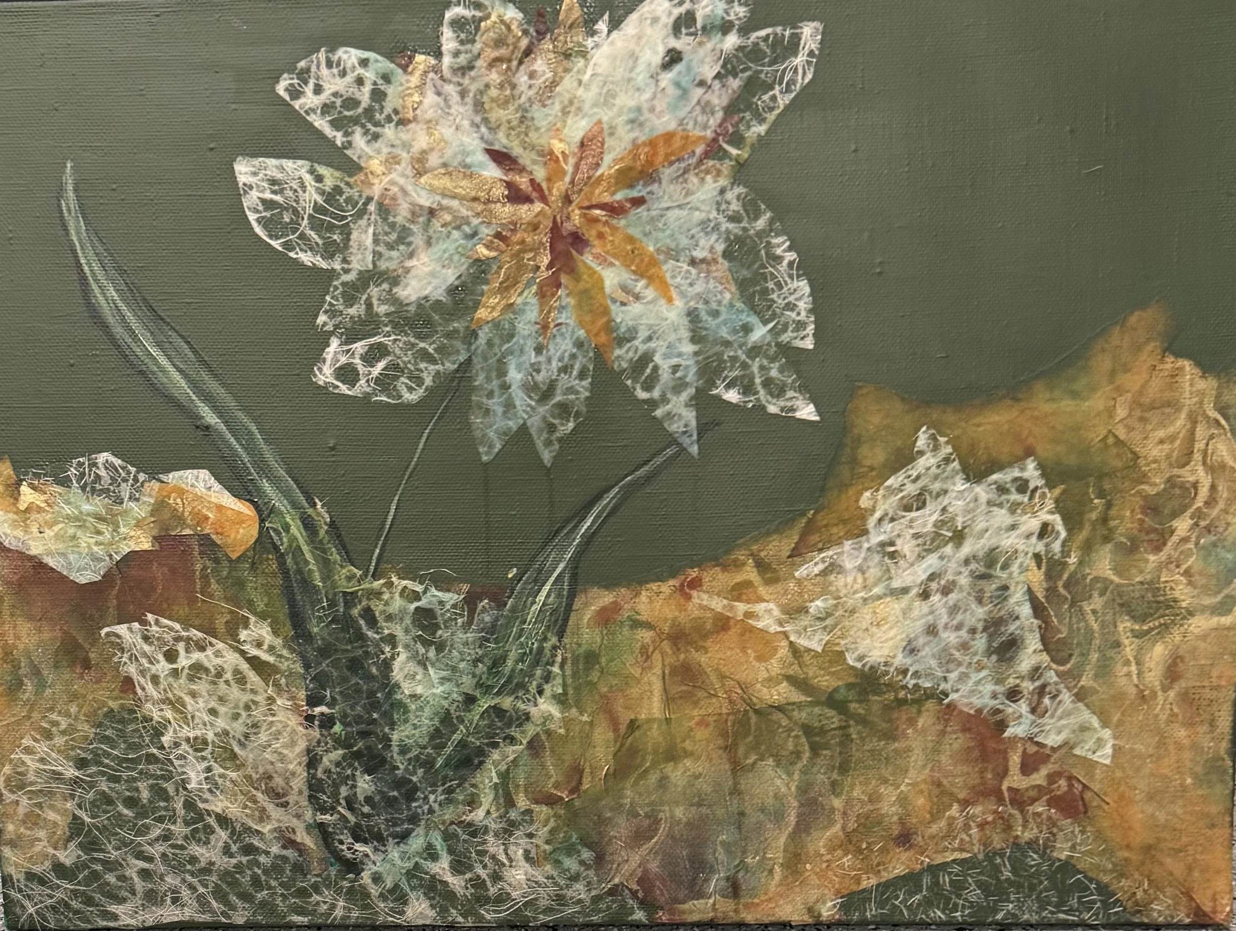 Judi Clark