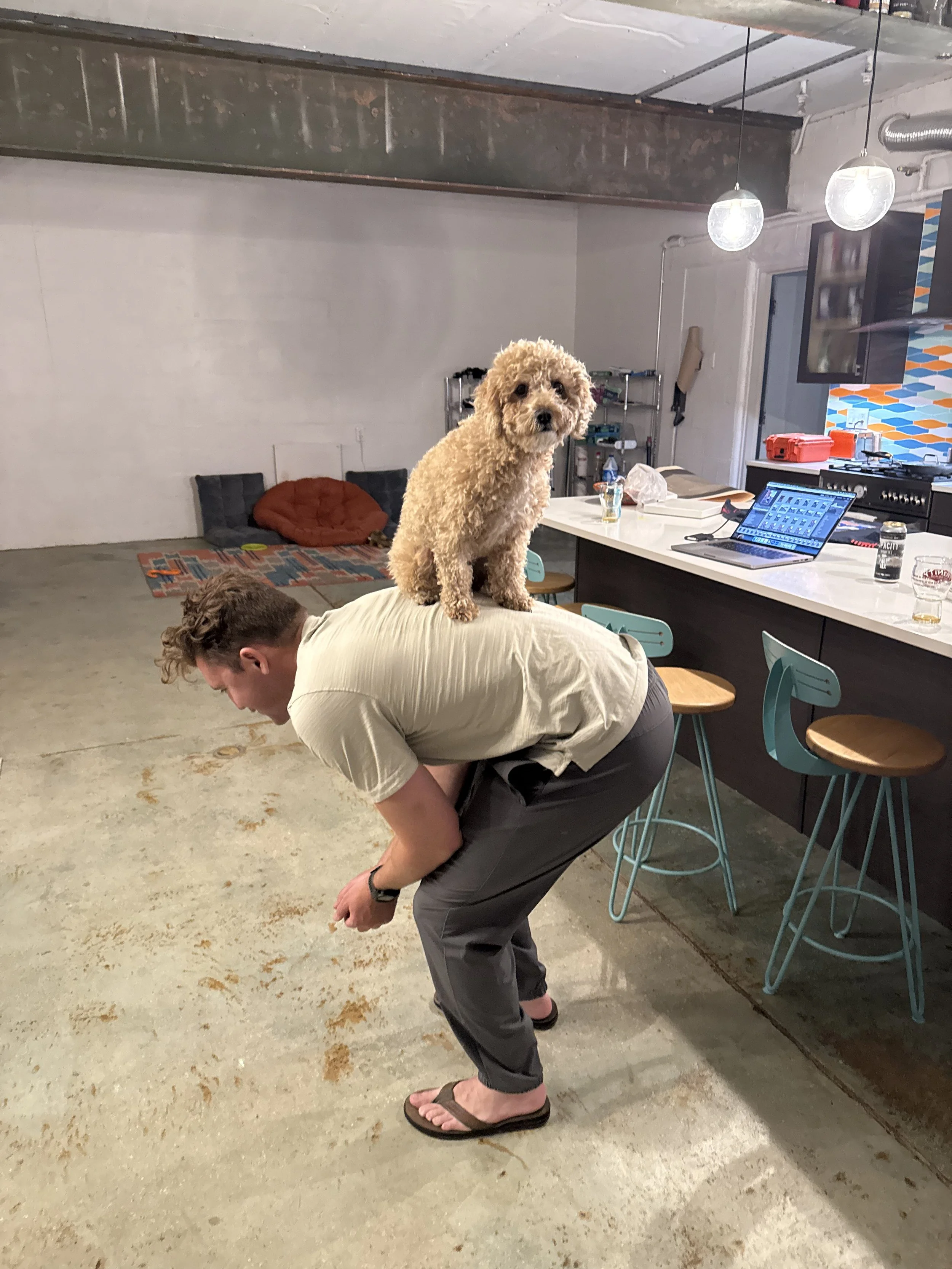 Josie found a perch