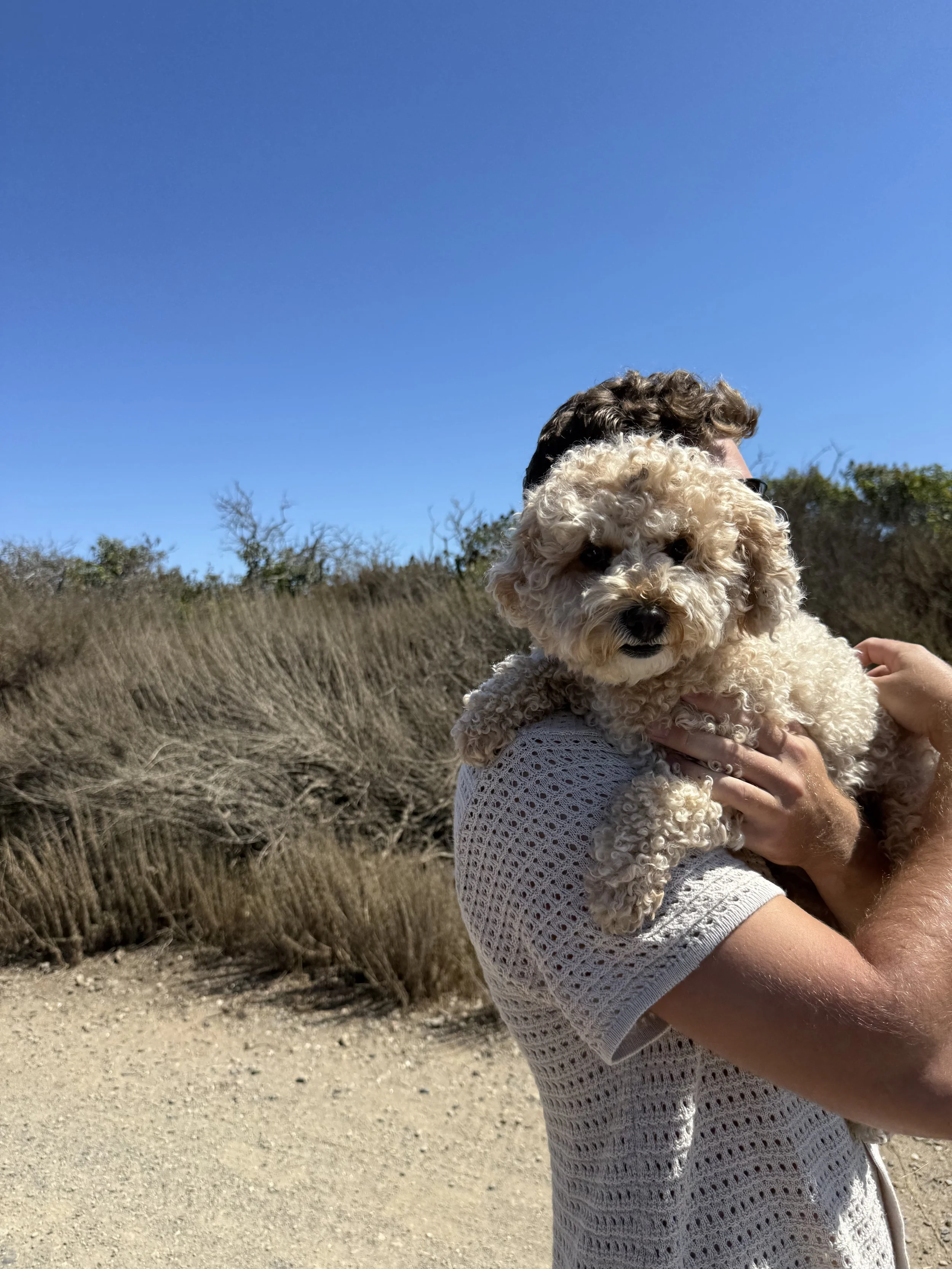 Introducing Josie to the ocean