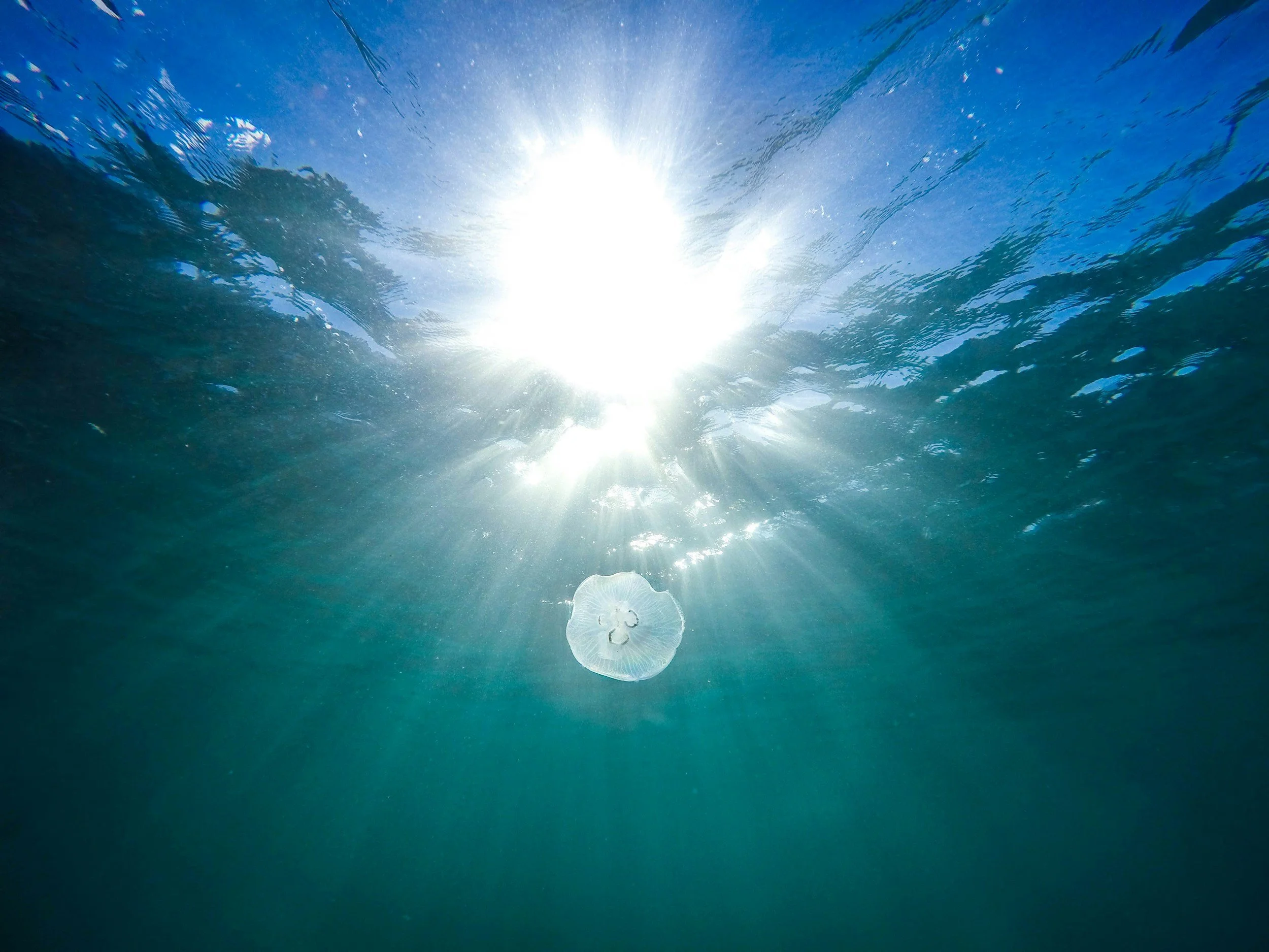 Teal water with the sun shining down through the surface, illustrating readiness to go deeper