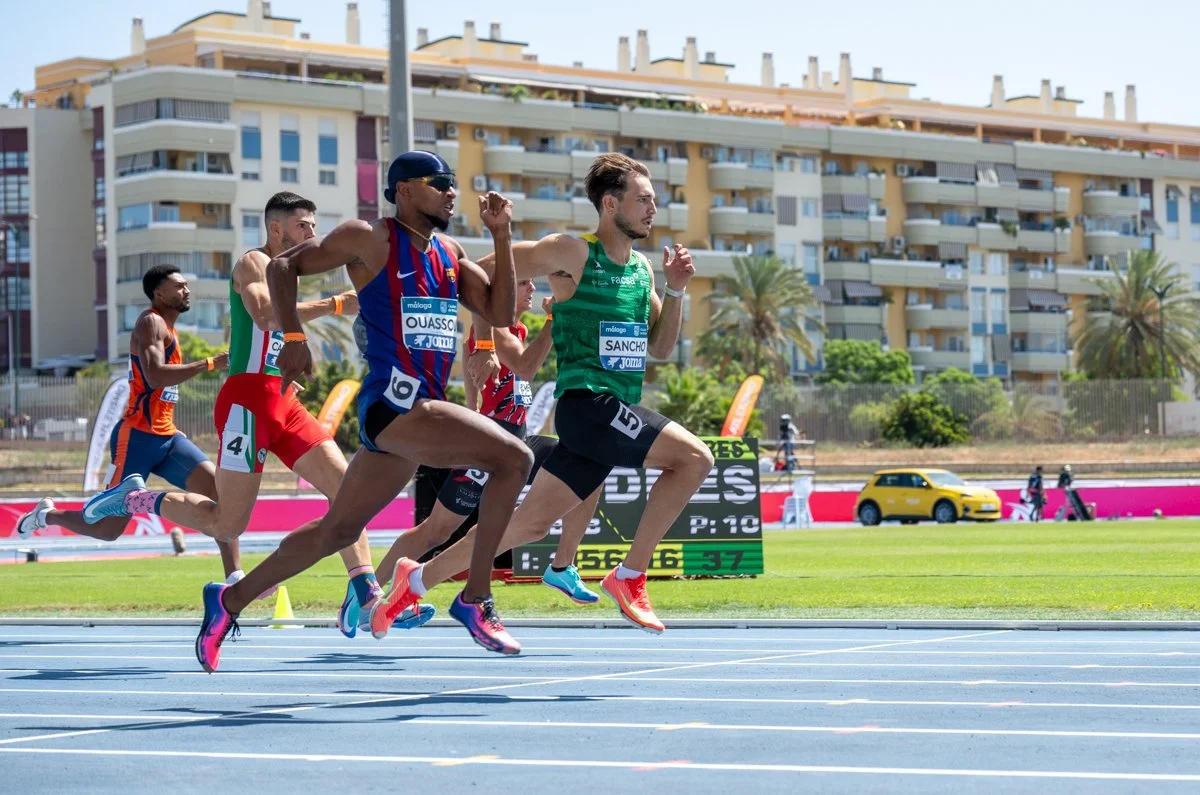 CTO ESPAÑA ABSOLUTO AL 2026: ANÁLISIS ESTADÍSTICO