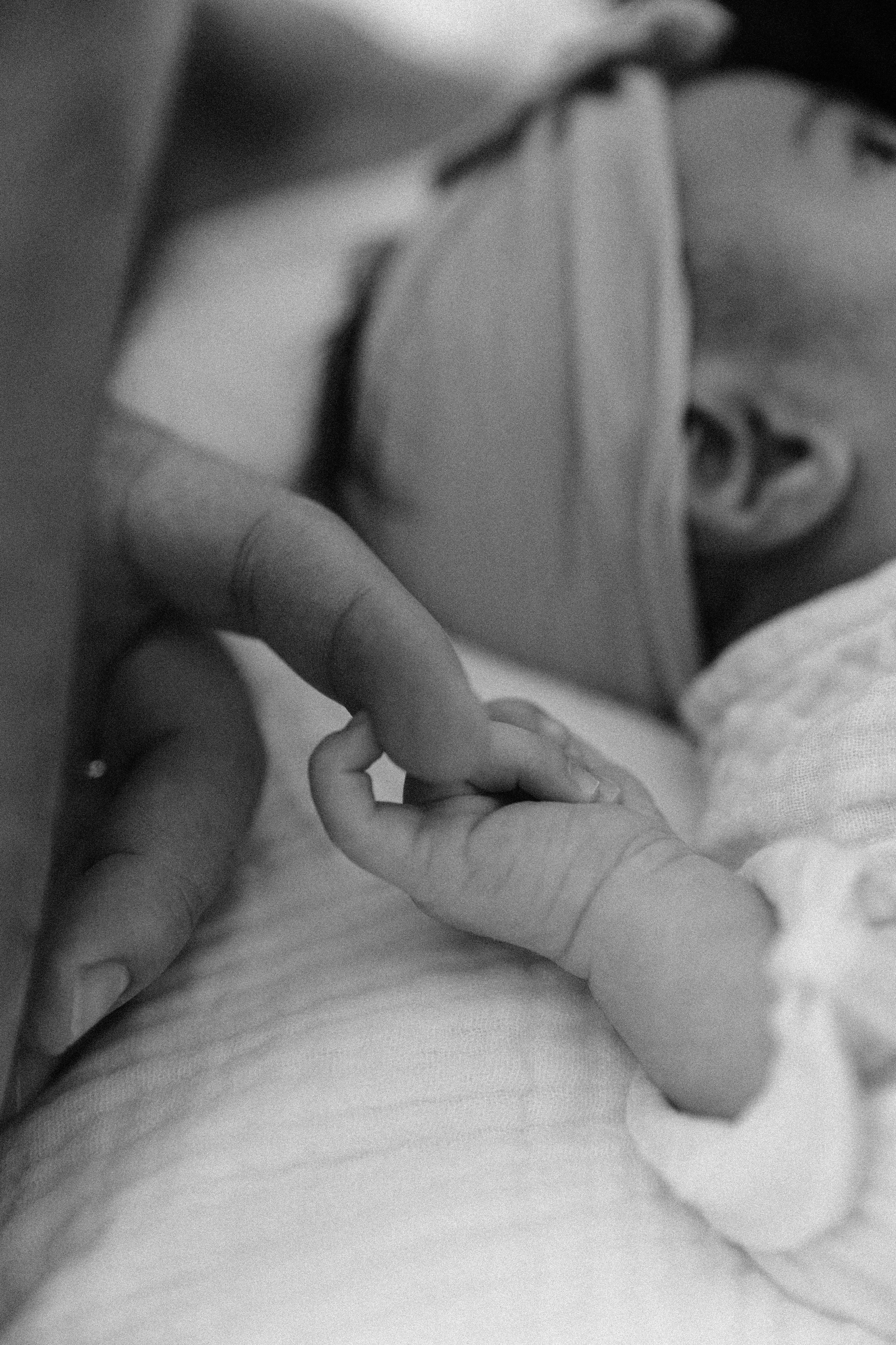 Close-up of a baby's hand holding an adult's finger, black and white photo.