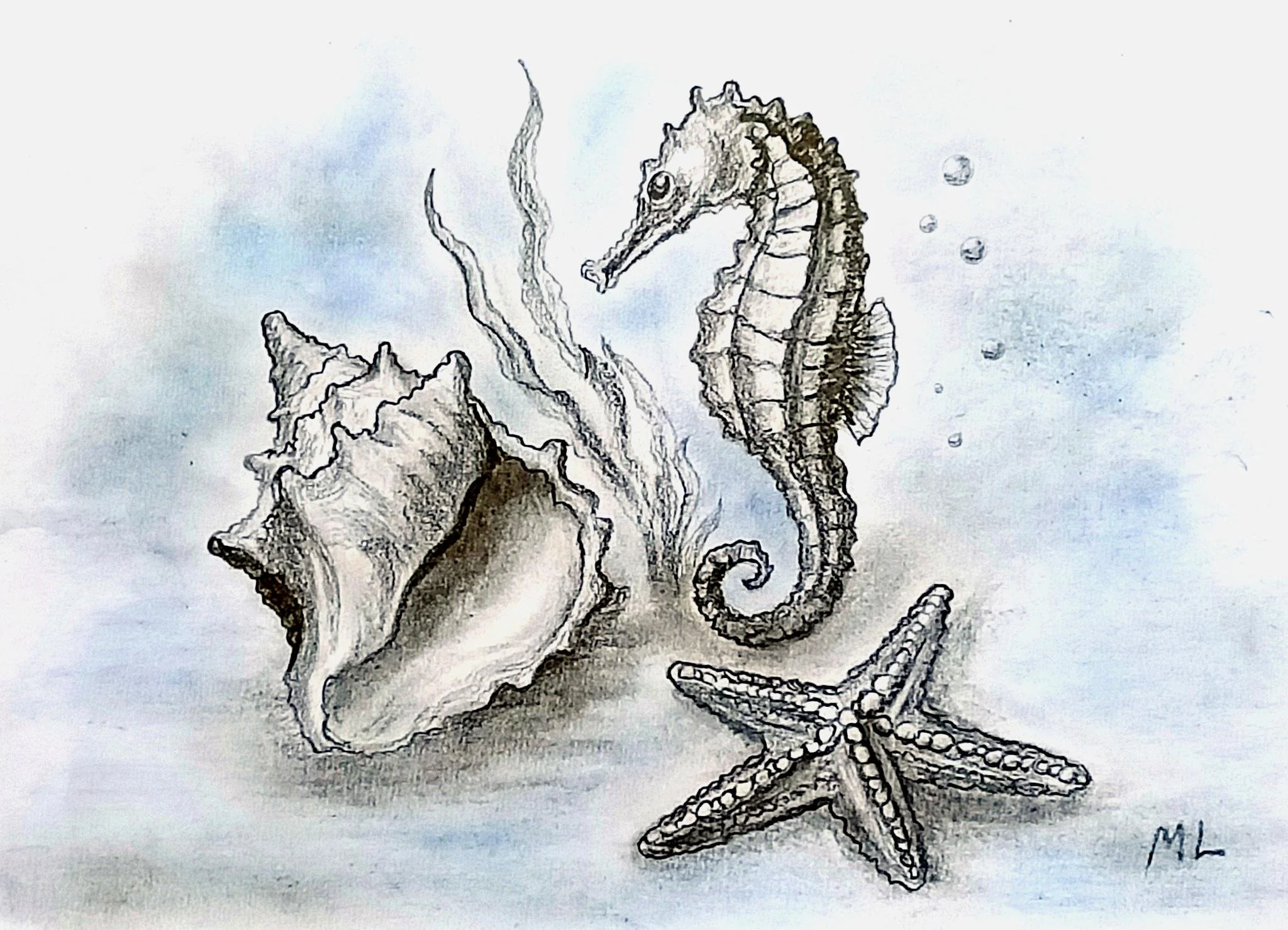Graphite drawing of seahorse, seashell and starfish in soft blue underwater setting