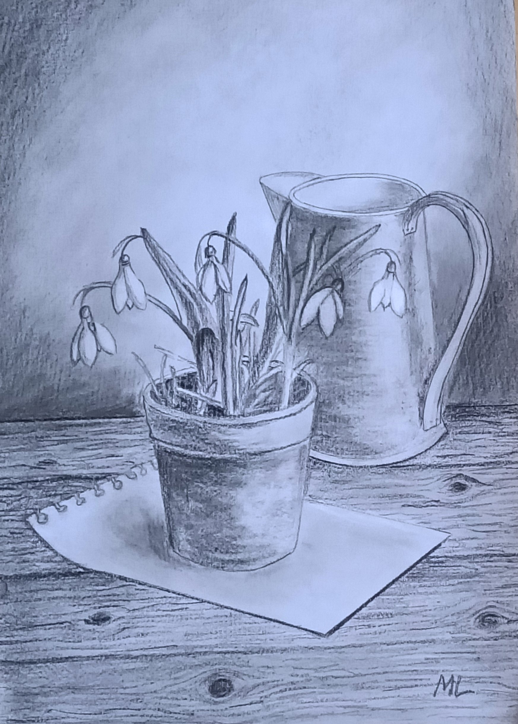Pencil drawing of snowdrops in a pot with a jug in the background