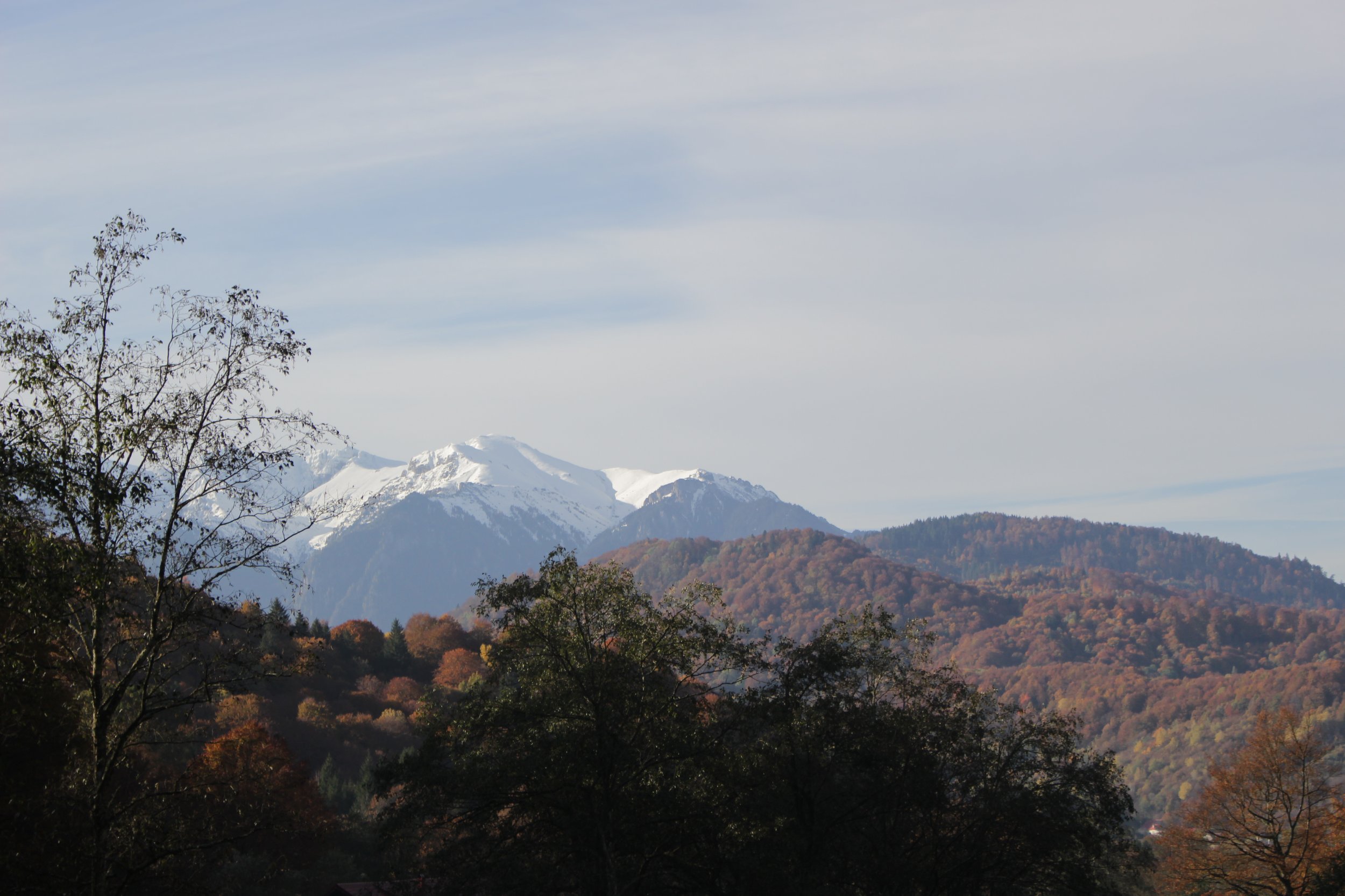 ¤ Mountain View.JPG