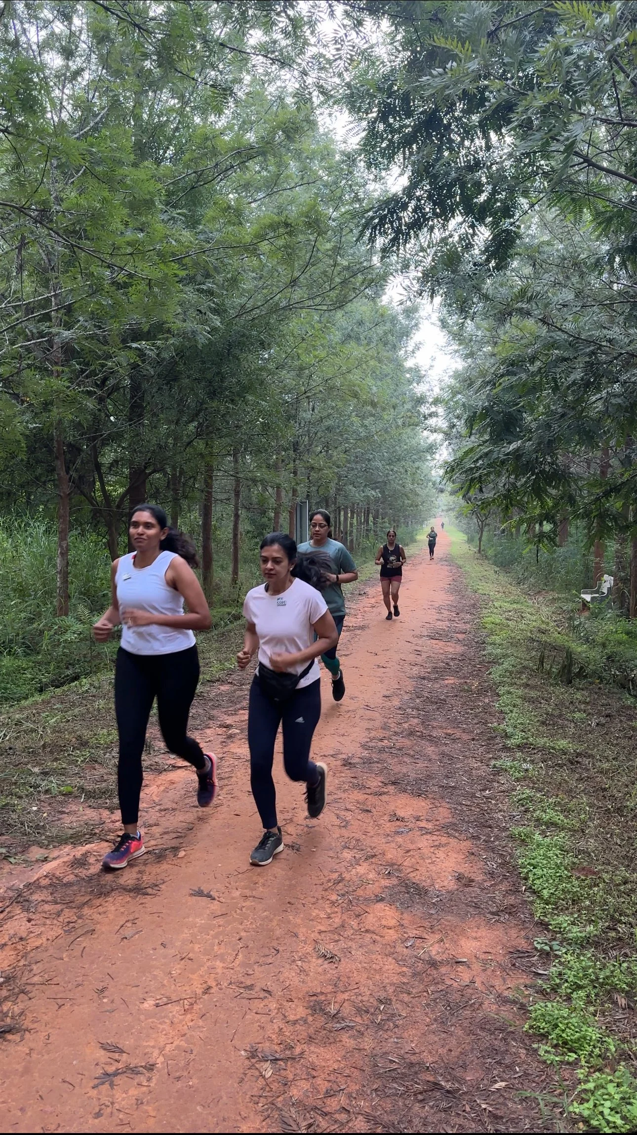 A group of women jogging on a mud trail through a forested area with tall trees and green foliage. They are memebers of MyCore, a personalised strength and conditioning gym in North Bengaluru, offering evidence-based training, functional st