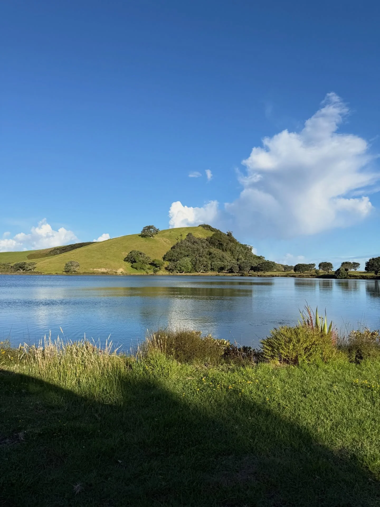 Life lately🌻

1. Remembering what a beautiful country we live in
2. Long drives 
3. Enjoying the last bit we have left of the school holidays
4. Fresh bed linen @homeatfarmers 
5. Planning the next year in business and remembering how good it feels 