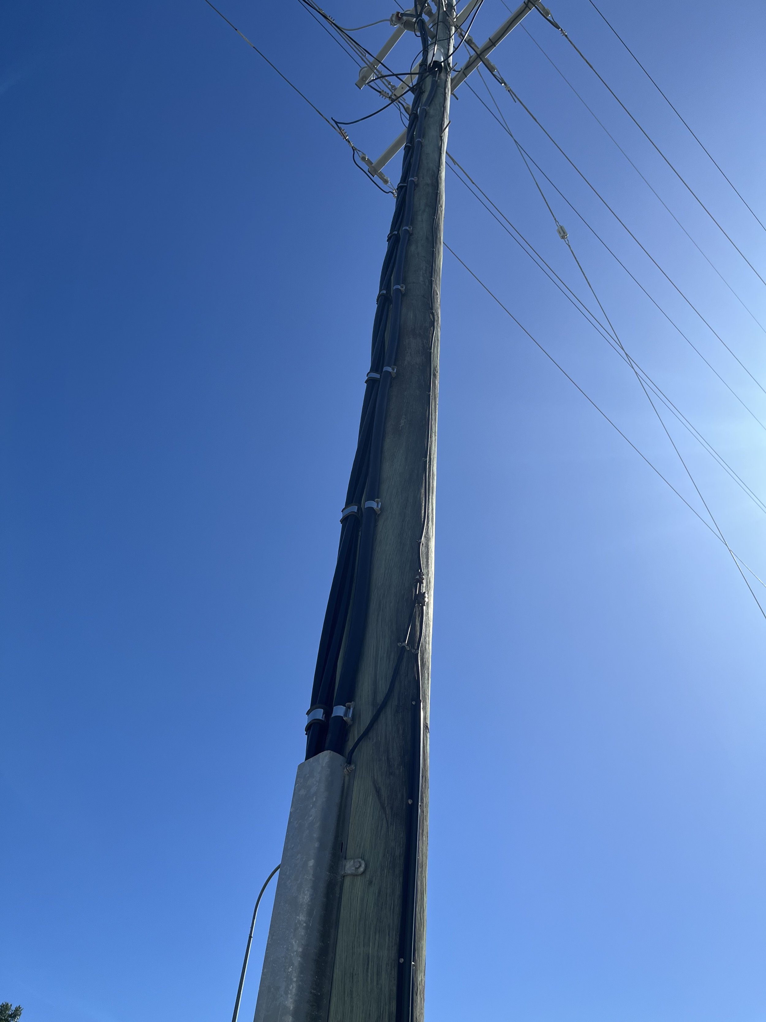 License and electrical certification.jpg