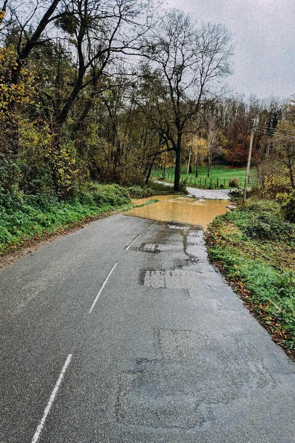 e9ceb285-cb44-4e89-99d2-4191d666db5c copie.jpg