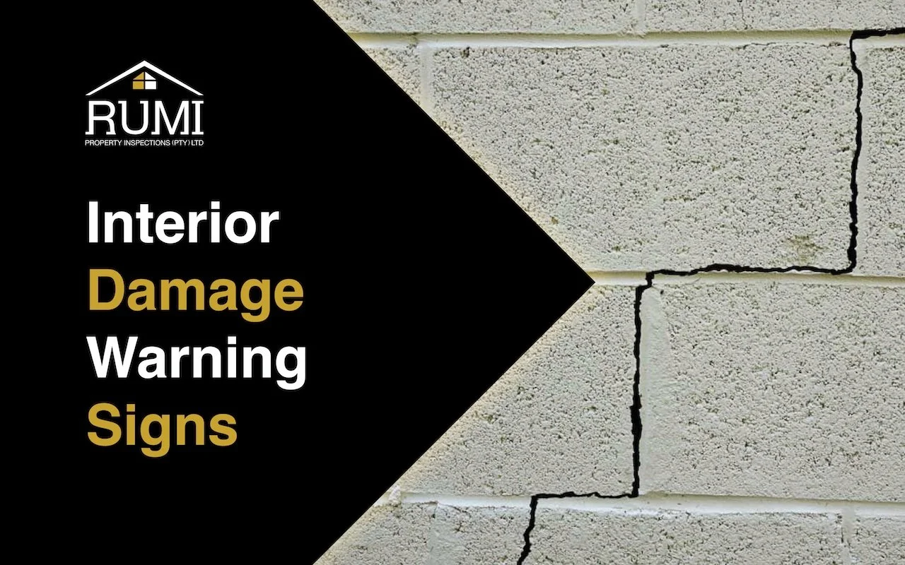 Hidden Interior Damage Warning Signs