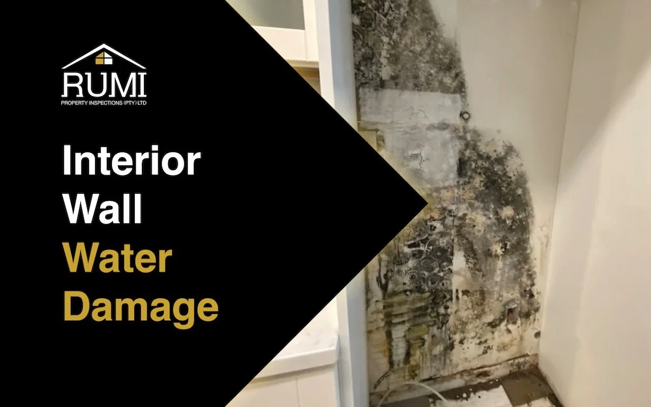 Interior Problems Every Hermanus Homeowner Faces