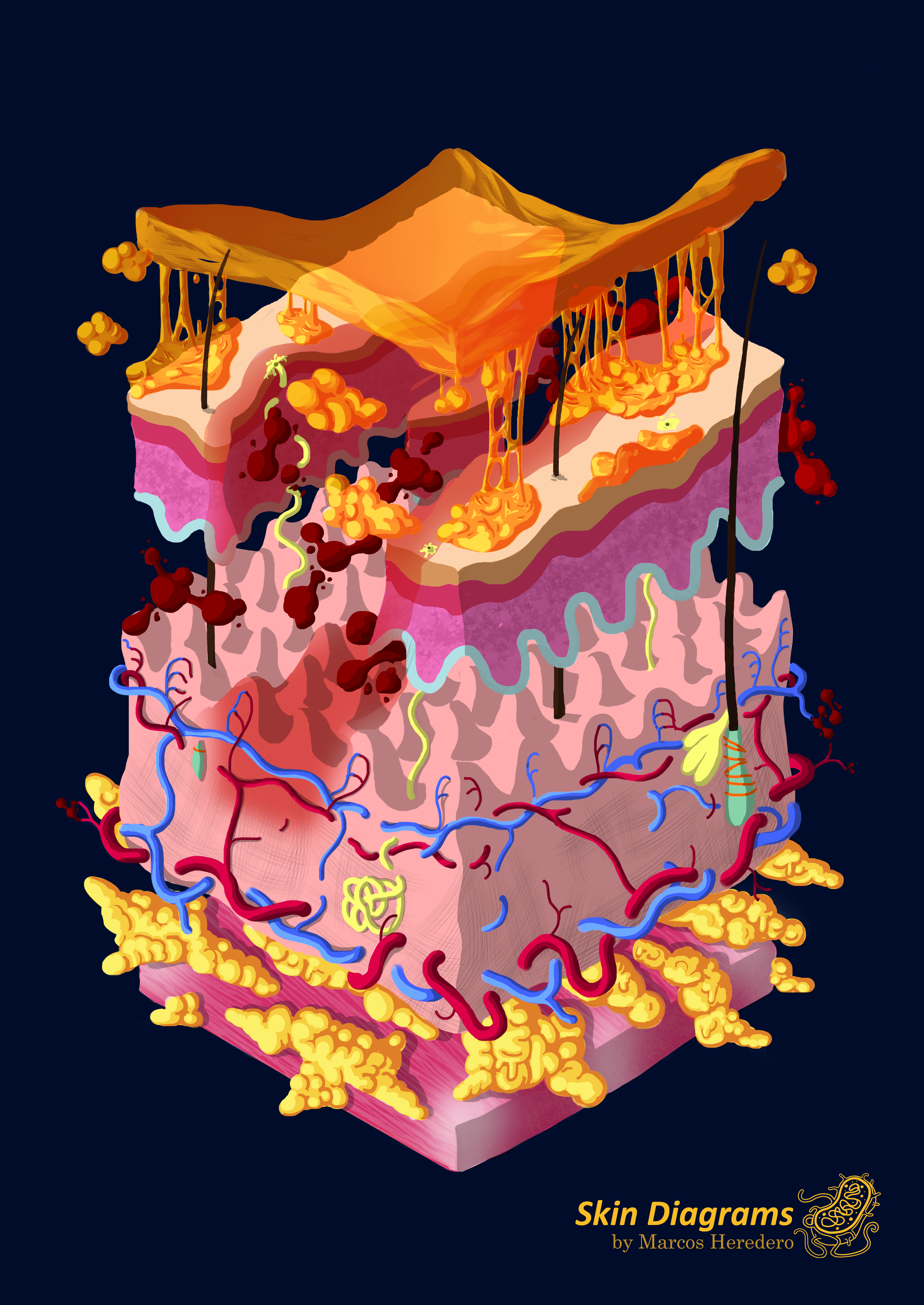 Non-boring, neither realistic skin diagrams
