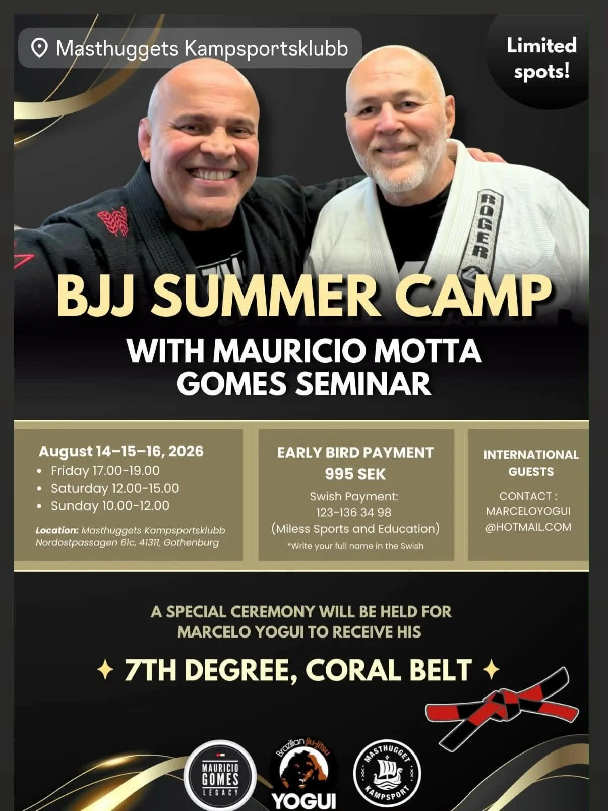 BJJ Summer Camp (Gøteborg)