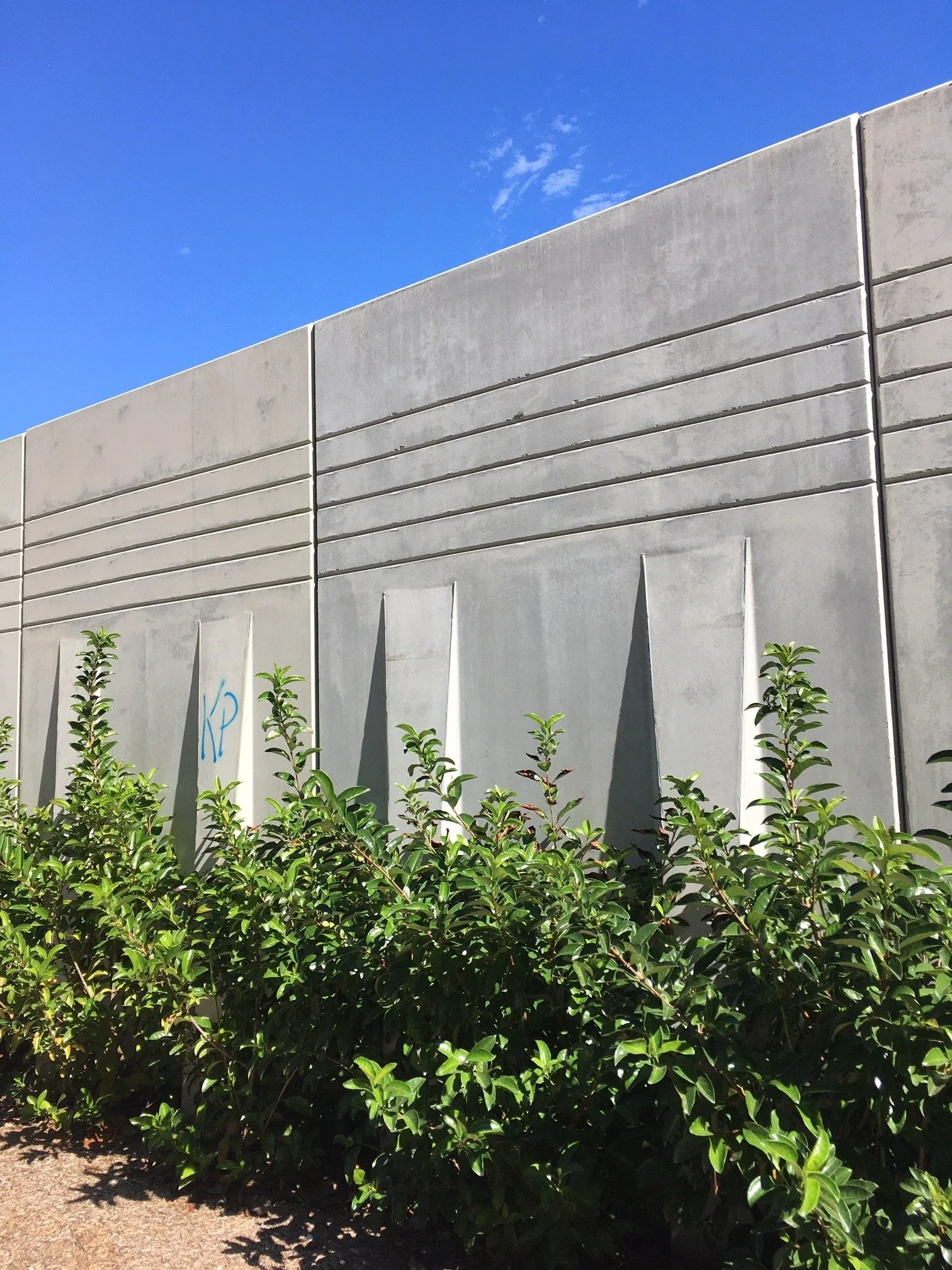 imgi_12_projecte45_006 (1).jpg