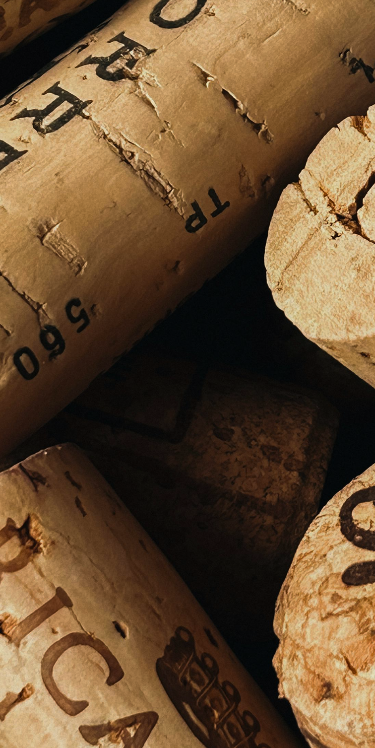 Close-up of wine corks, showing textures and printed text on the corks.