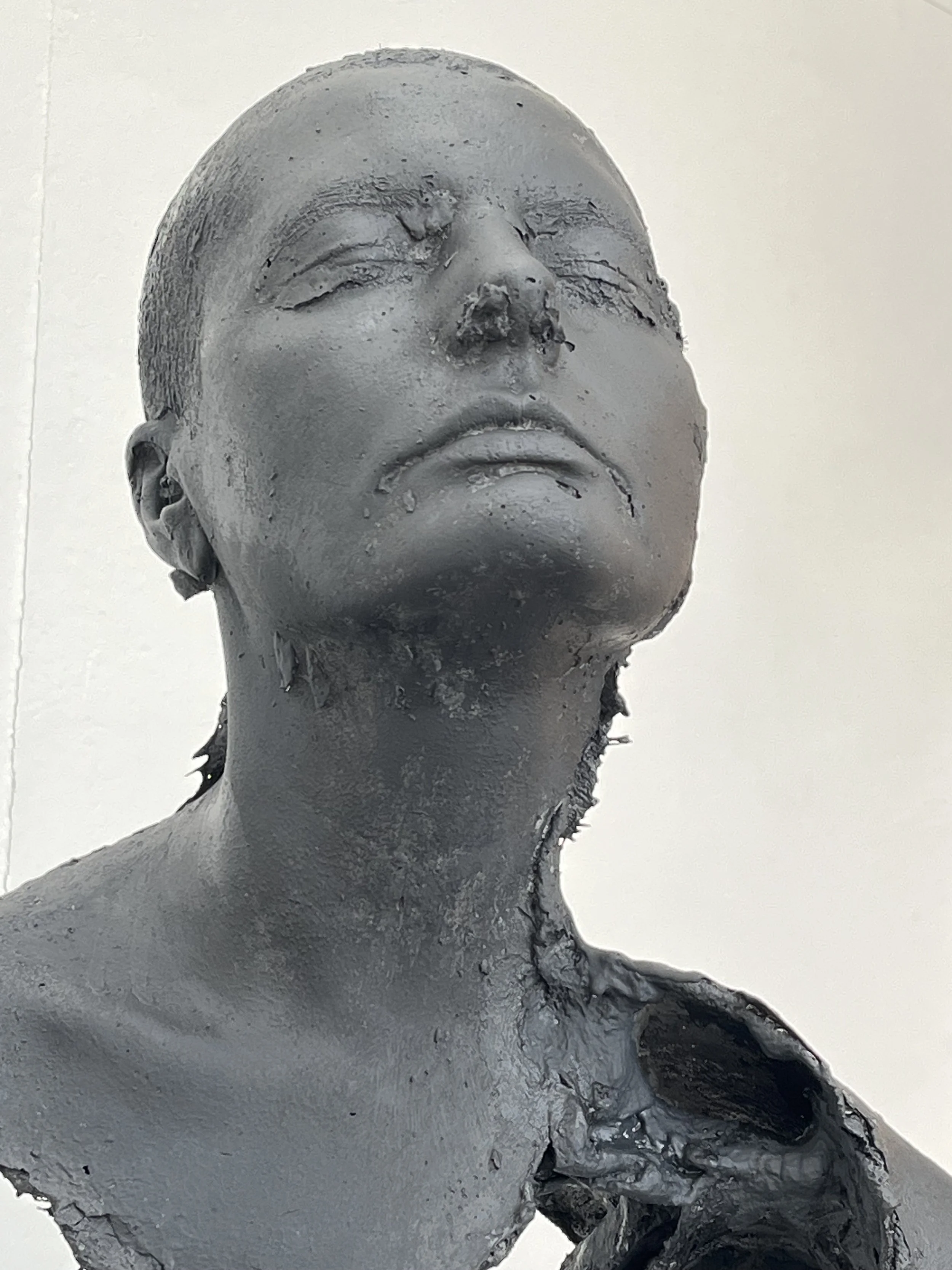 B23D6E03-ED66-4687-89D4-5E8F1F7139C4.jpeg