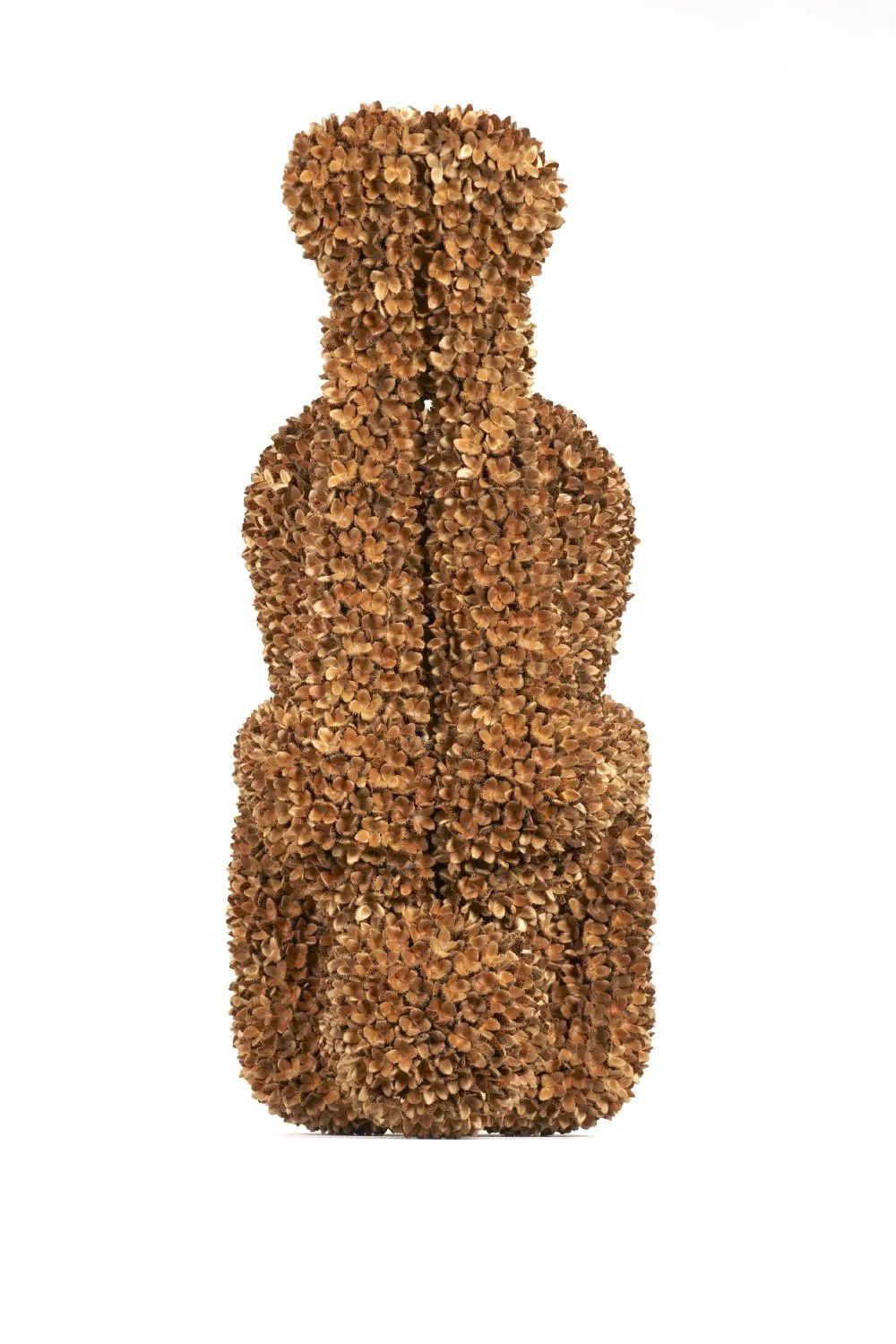 Beech Nut Falling (shot1).jpg