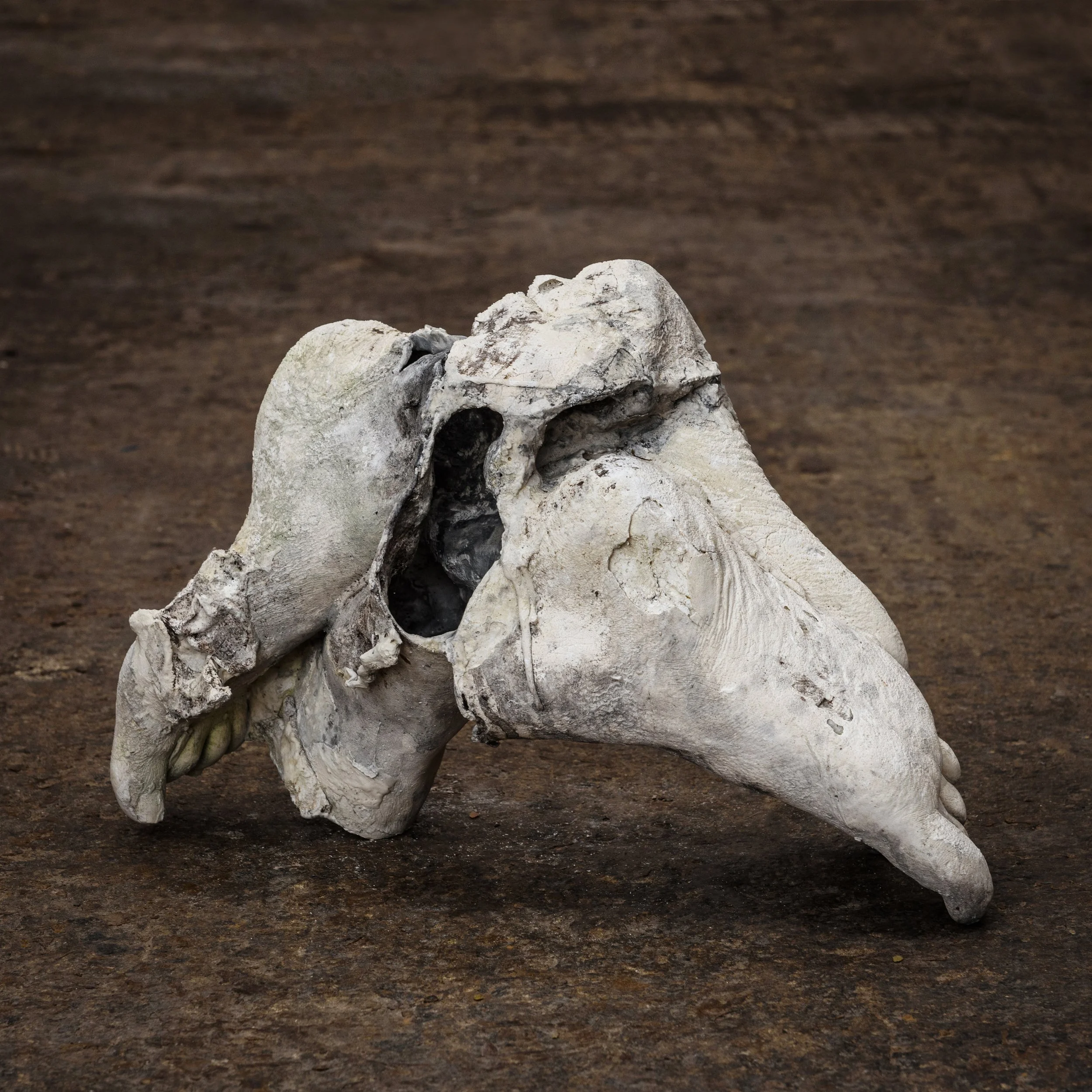 Strange Finds - Series