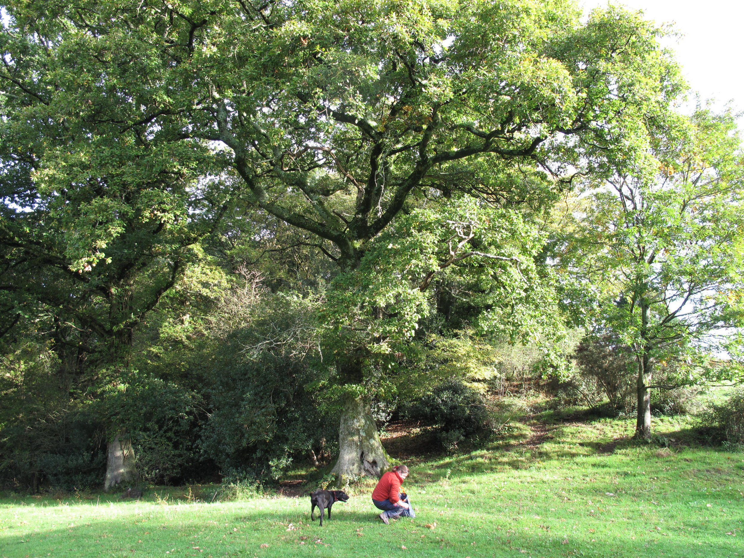 The Gathering Project